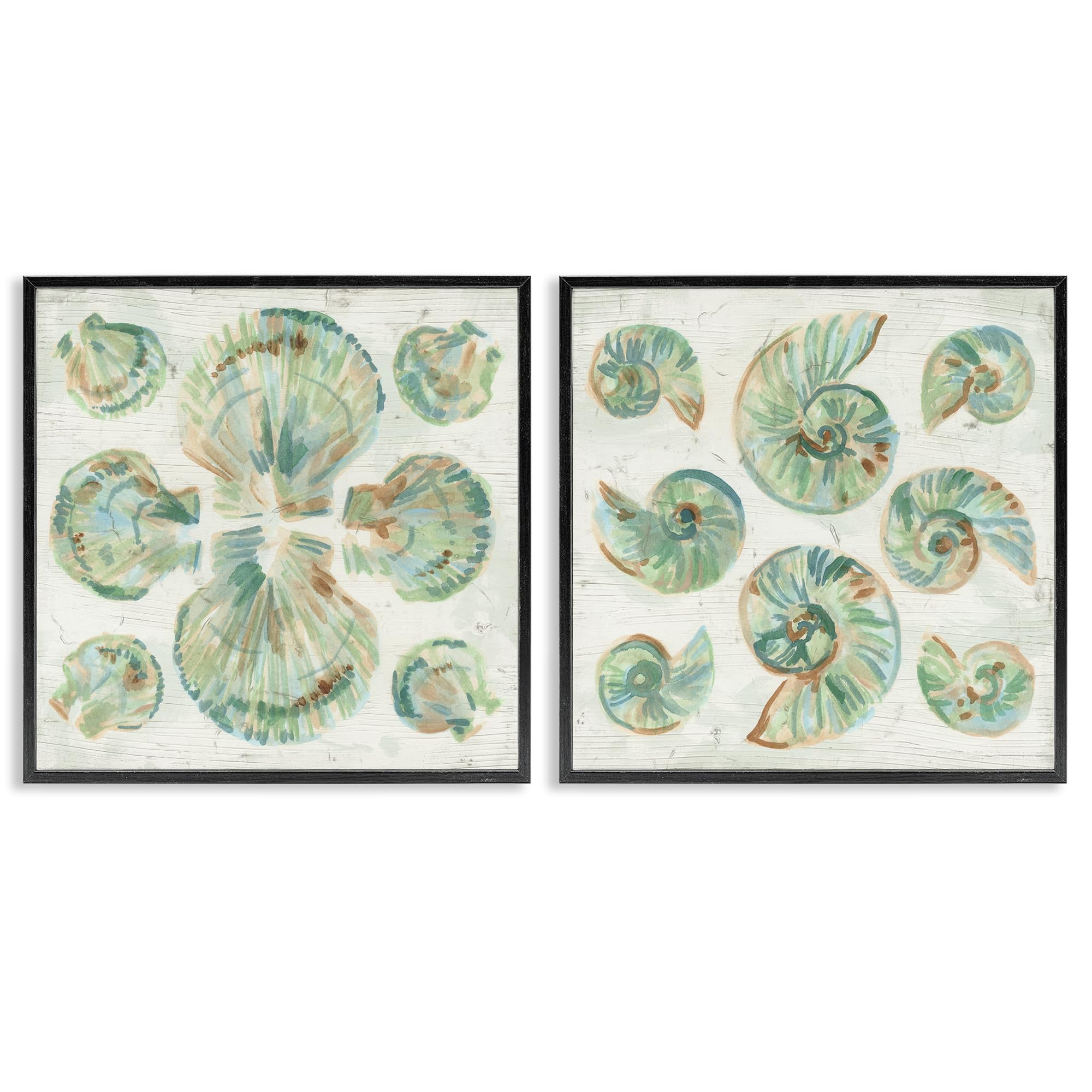 'Saltwashed Seashells Pattern'| 2pc Framed Giclee Art Set 2
