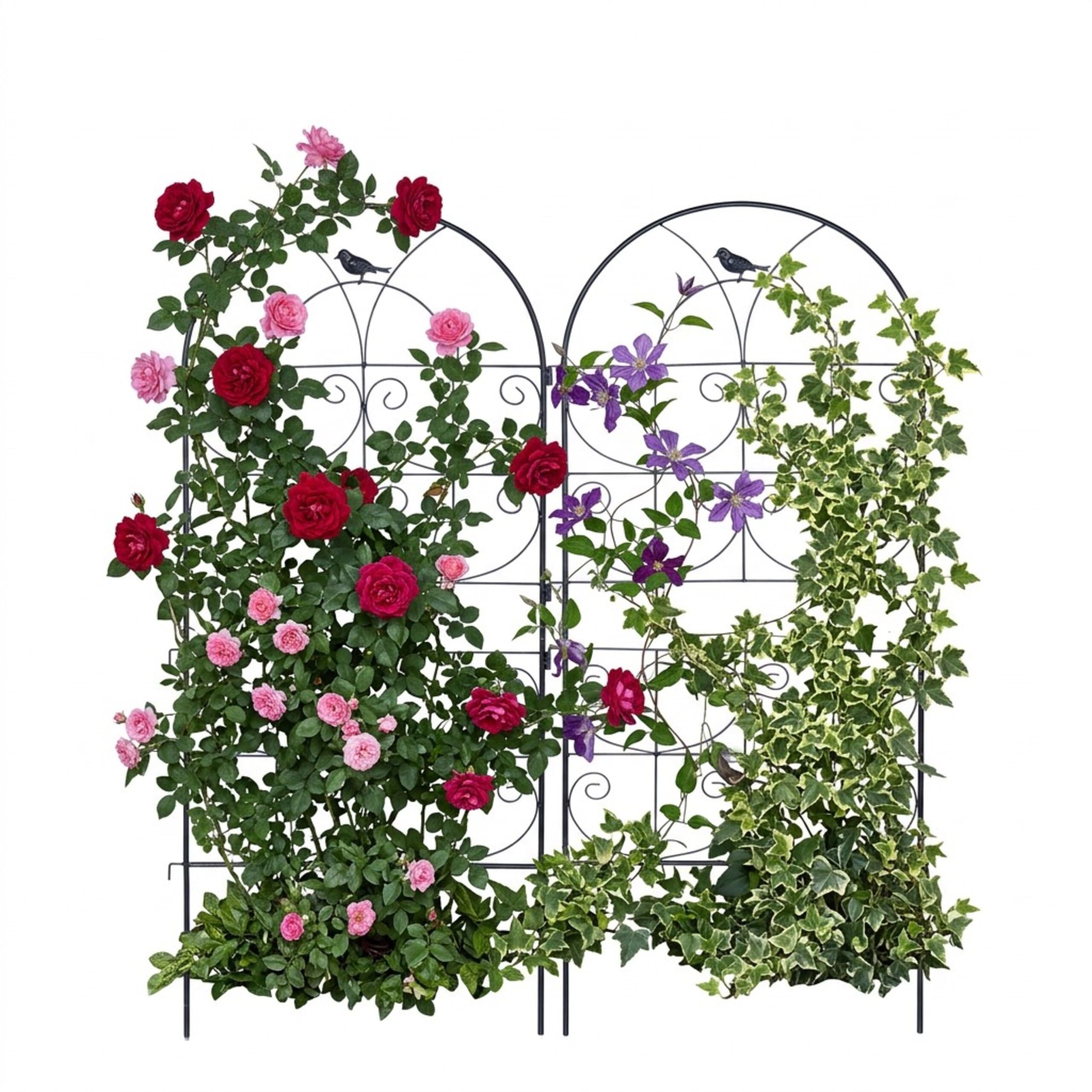 Relaxdays Griglia per rampicanti, Set 2, HxB: 116 x 50 cm, Metallo, Supporto Piante