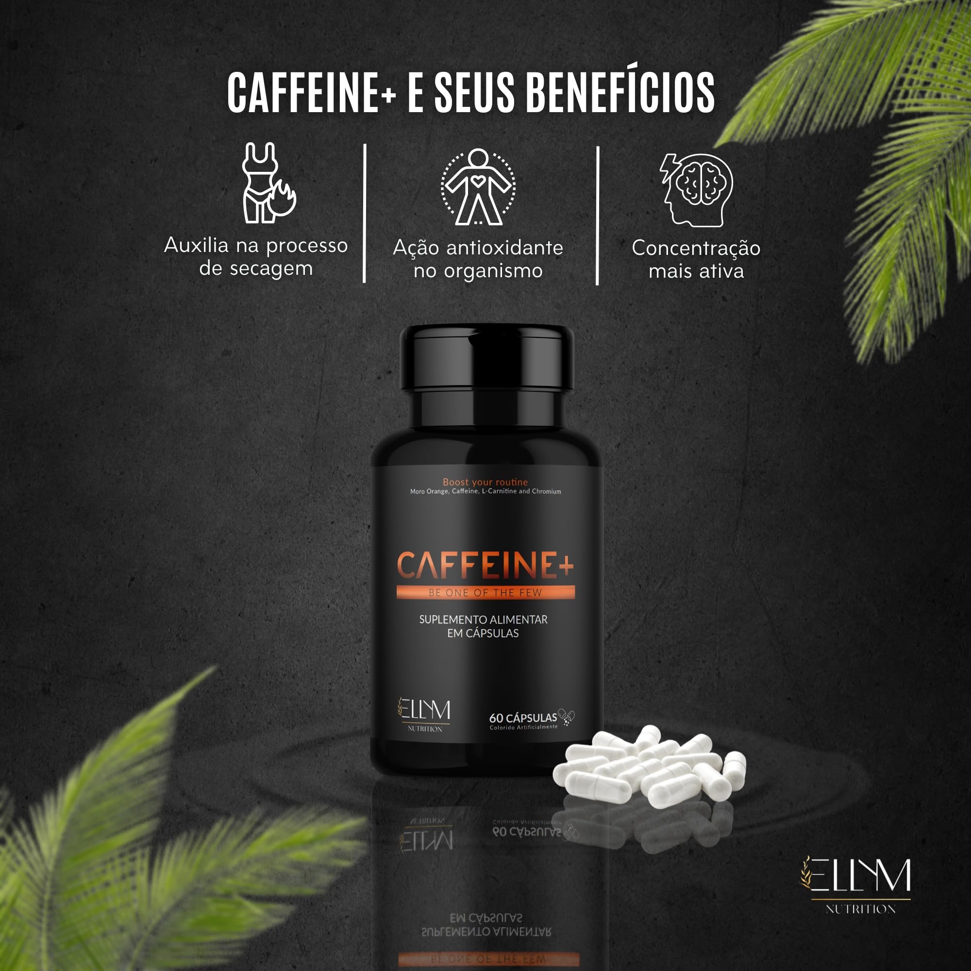 l carnitine l ta layne trate L Carnitine