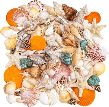 MORFEN Sea Shells, Mixed Ocean Seashells, 15 Kinds 1.2"-3.9" Various Sizes Natural Sea Shells and Starfish for Crafts, Fish Tank, Vase Fillers, Beach Themed Party Wedding Decoration