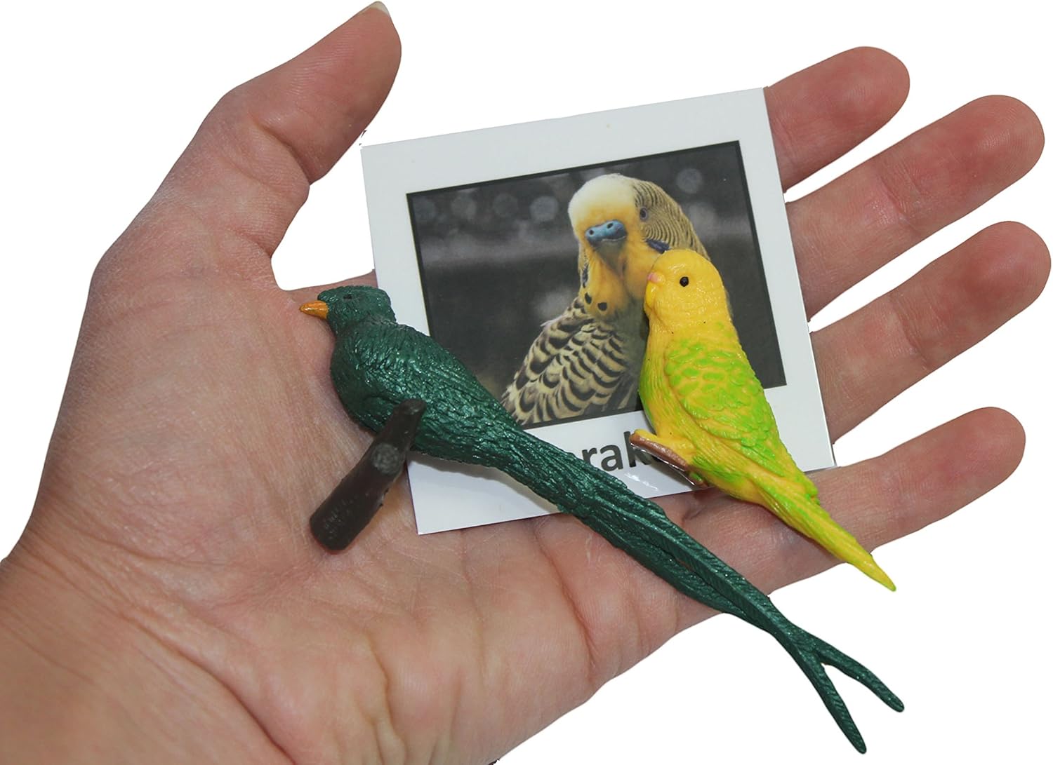 Curious Minds Busy Bags Montessori Tropical Bird Animal Match - Miniature Exotic Bird Animal Toy Figurines with Matching Cards Preschool Matching Game