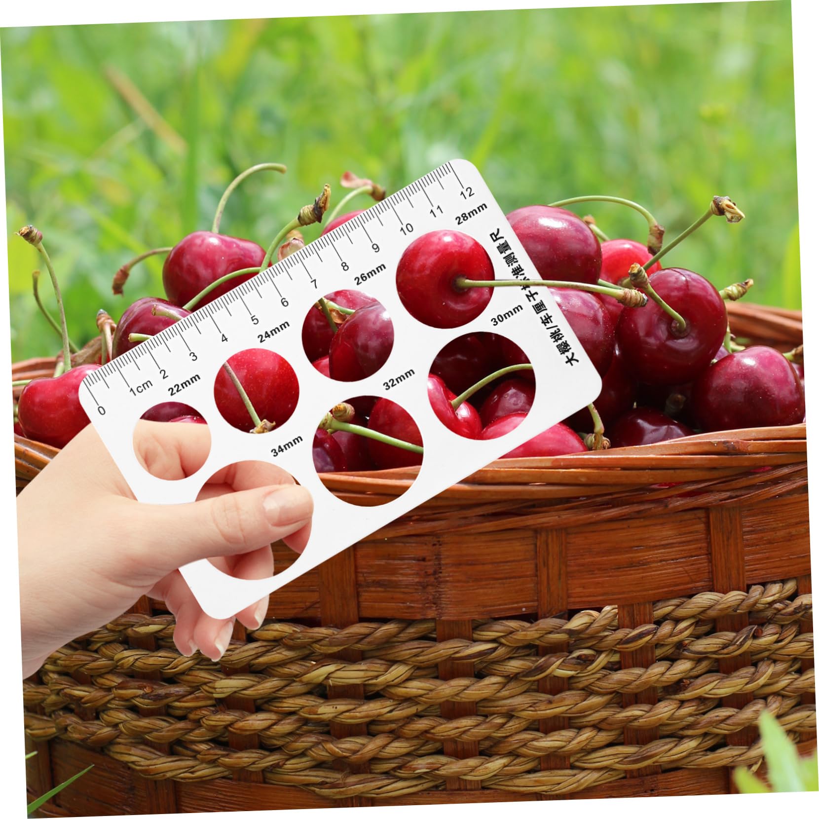 Amazon | IWOWHERO 12個 チェリー用の測定定規 フランジサイズ