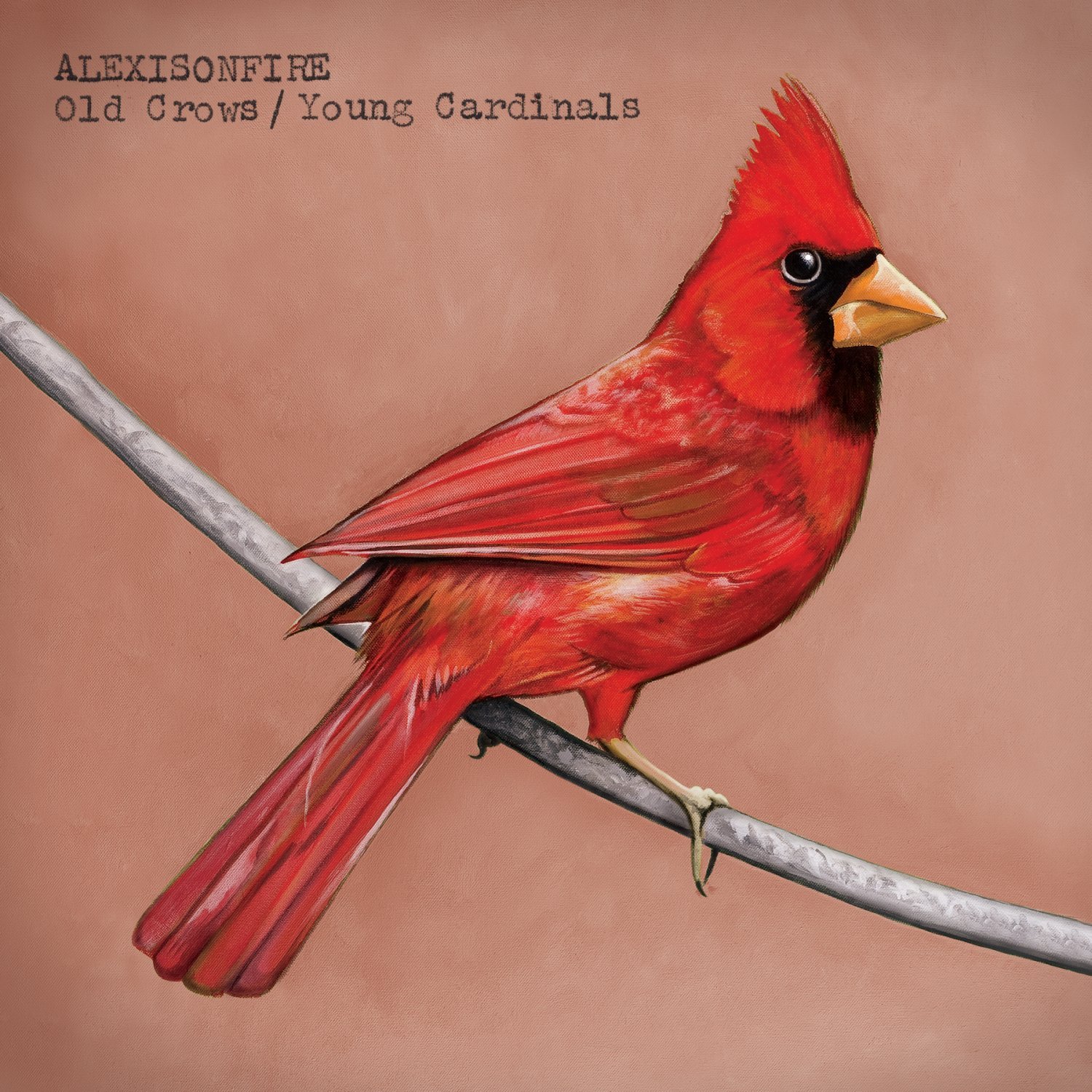 Old Crows/Young Cardinals [Audio CD] Alexisonfire
