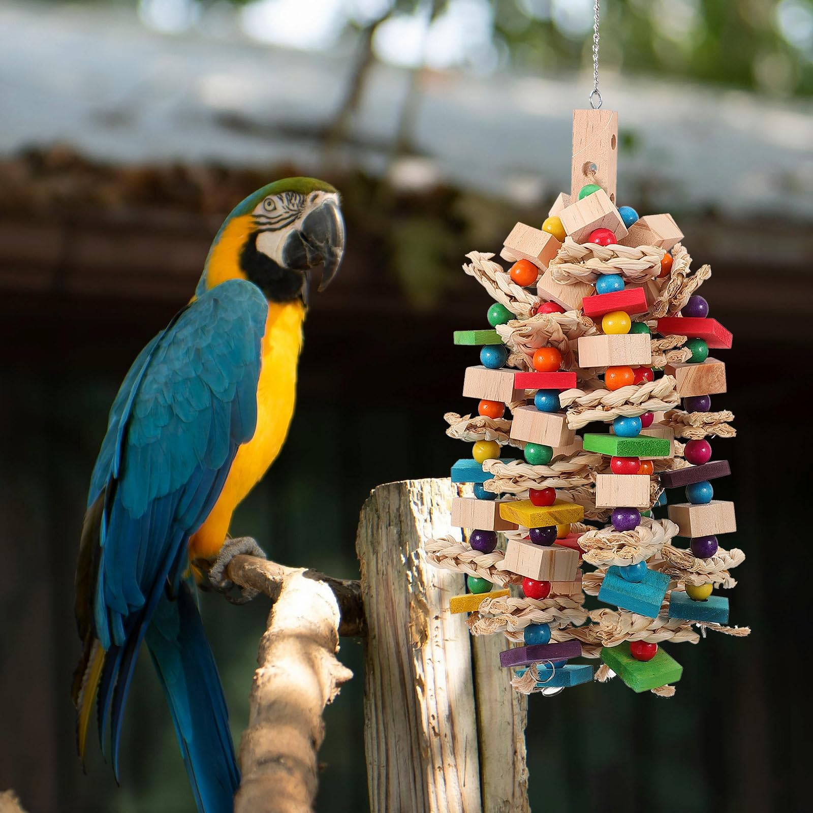 Hohopeti Vogelspielzeug für Papageienkäfige und Baumwollseil Hängendes Kauspielzeug mit Verschleißfester Oberfläche zur Beschäftigung von Vögeln im Käfig