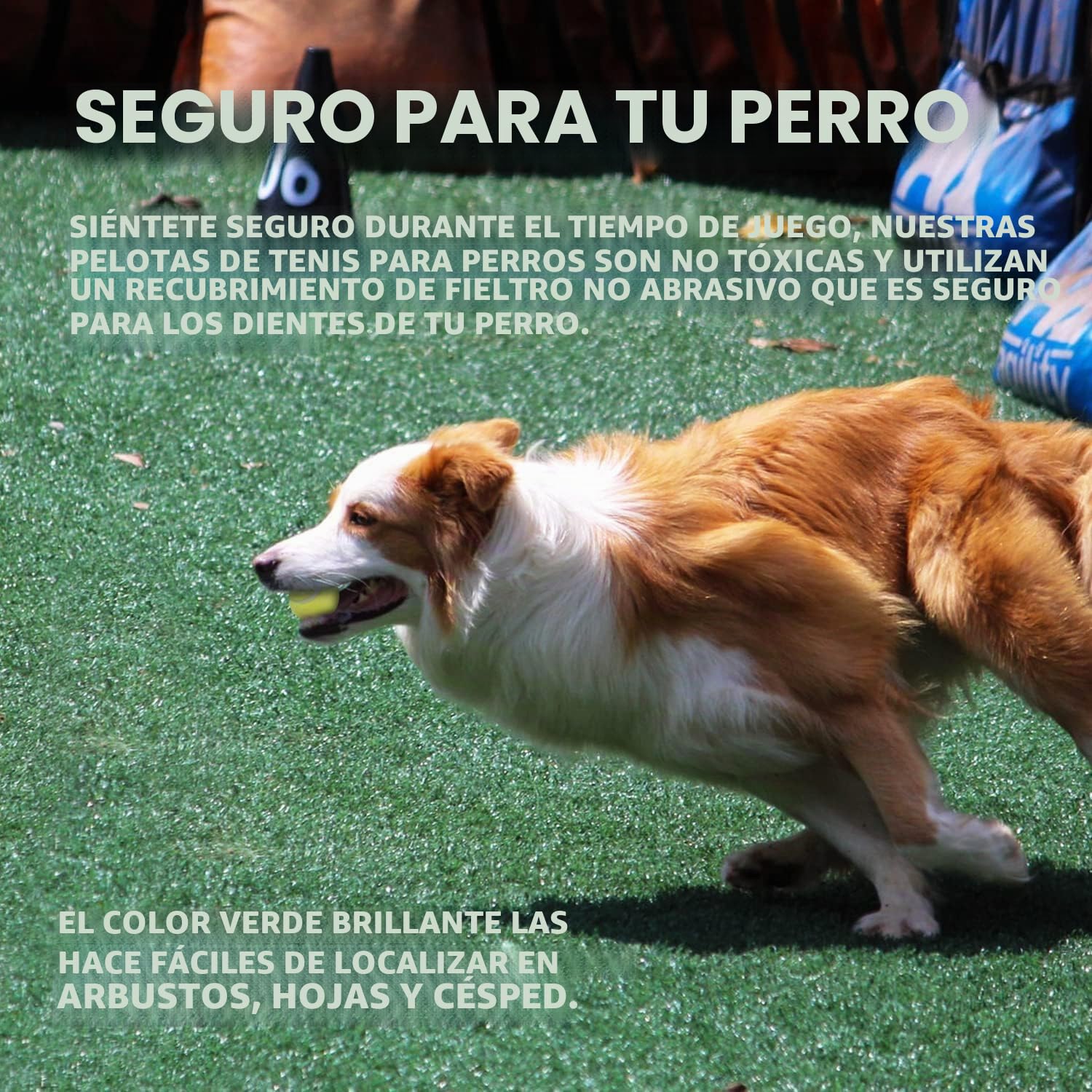 ALL FOR PAWS 6PCS Pelotas de Tenis de 2" para Perros, Juguetes de Buscar y Traer para Perros Pequeños y Medianos, Pelotas de Tenis Saltarinas y Duraderas para Lanzador de Pelotas