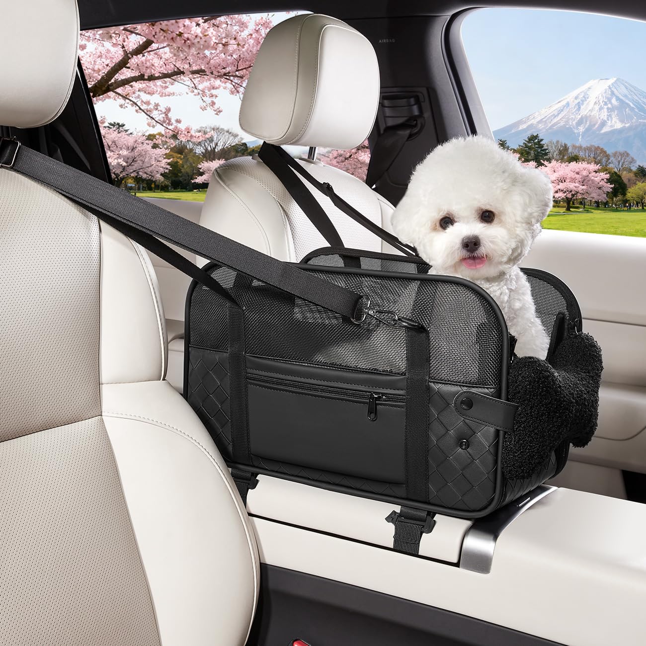 猫/犬 車 シート コンソール用 耐荷重5kg 多機能 子犬キャリーバッグ シートベルト付 折り畳み 滑り止め スーツケースに取り付け ペットドライブボックス 車用ベッド 犬用アウトドアソファ 小型犬 防災 移動用 旅行/お出かけ/病院/公園 ブラック グレー (ブラック, S)