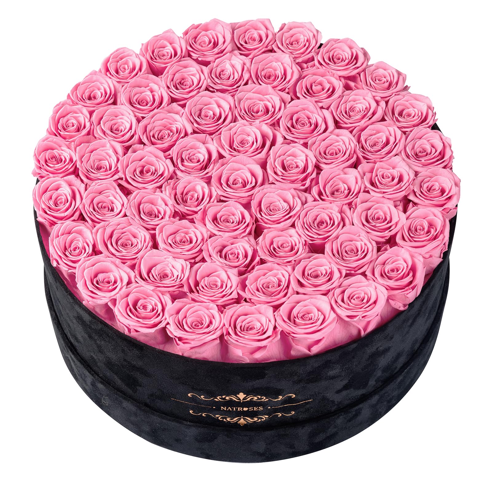 NATROSES 60 Preserved Roses in Luxury Black Velvet Bucket