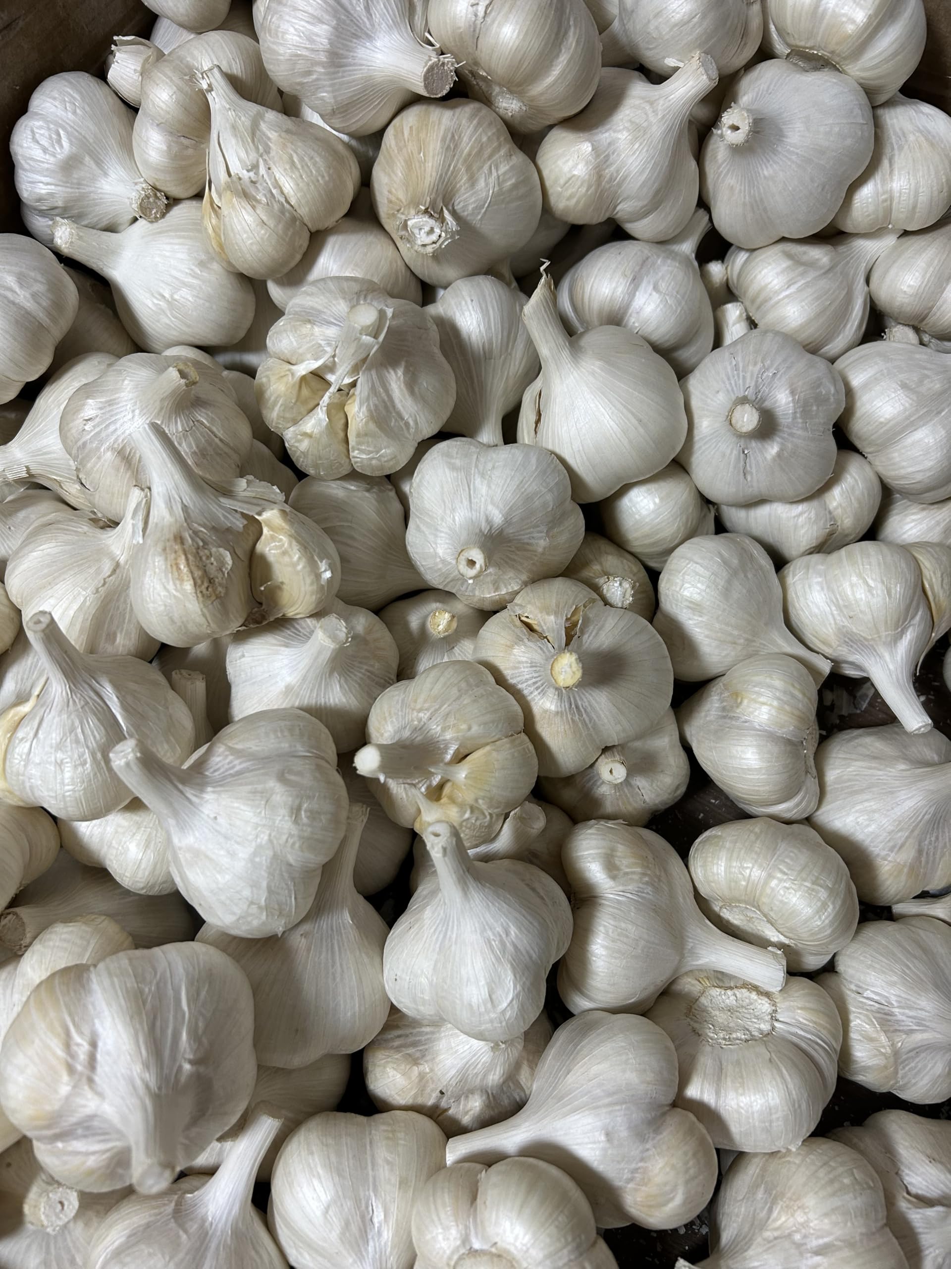 Amazon.co.jp: 青森県産にんにく 業務用にんにく1キロ Lサイズ