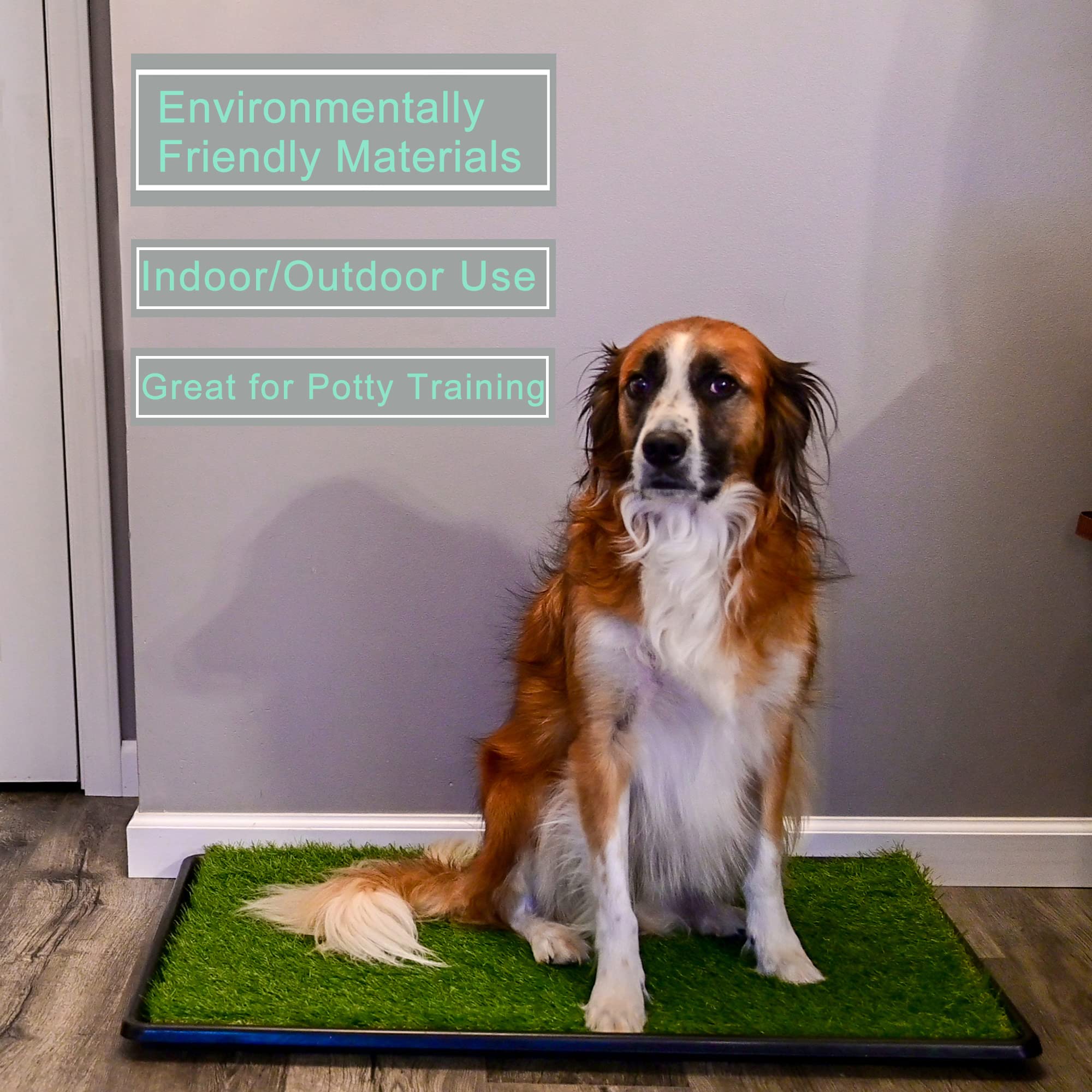PICK FOR LIFE Tappetini Erba Artificiale Per Cani - 2 Pezzi 35,5x46 Cm, Per Addestramento Vasino - Foto 11