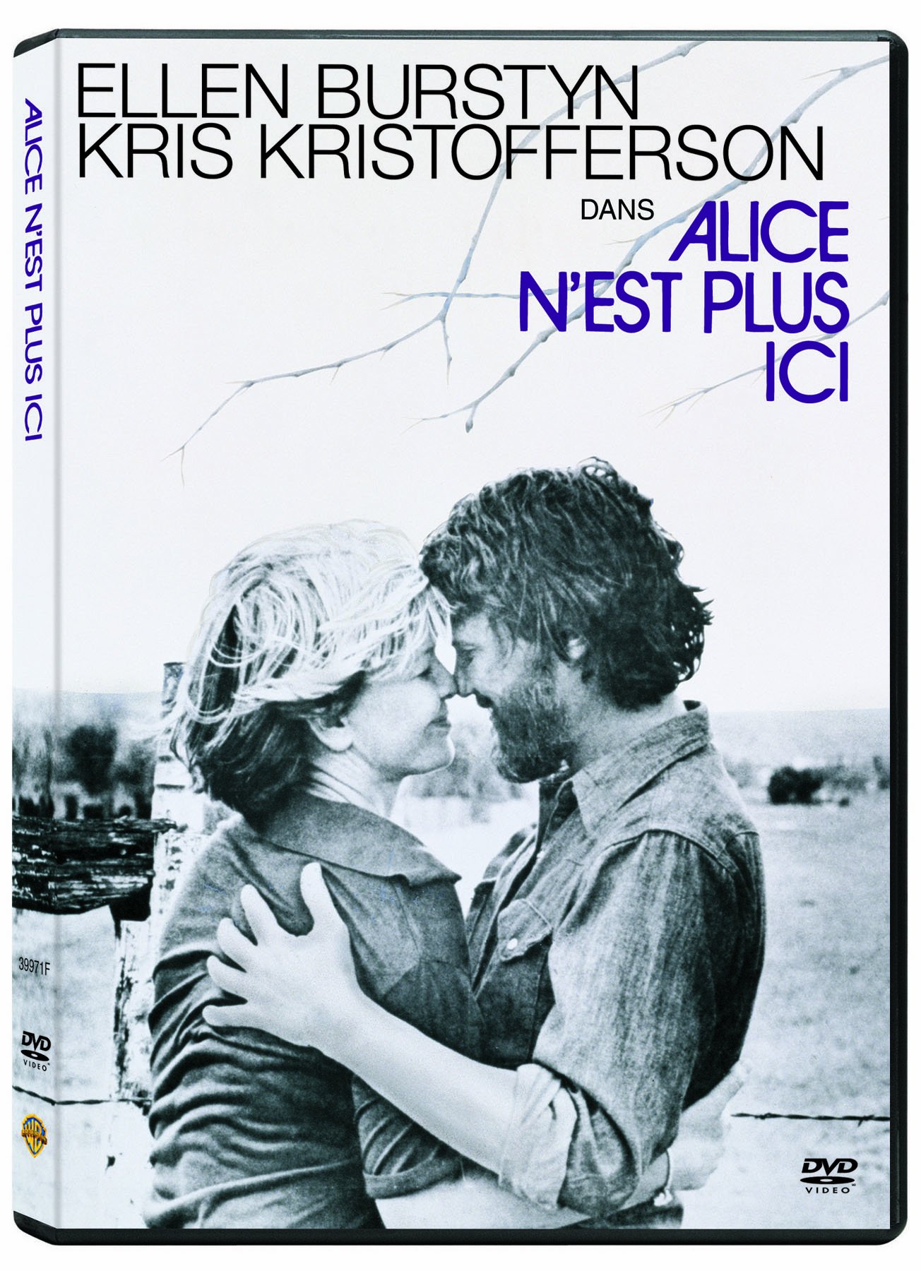 Alice Doesn't Live Here Anymore (Version française) [DVD]