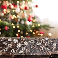 Vista 4 de 200 minipiñas de pino de nieve, piñas naturales de Navidad con pintura blanca a granel para fiestas en casa, manualidades, regalo, boda, árbol