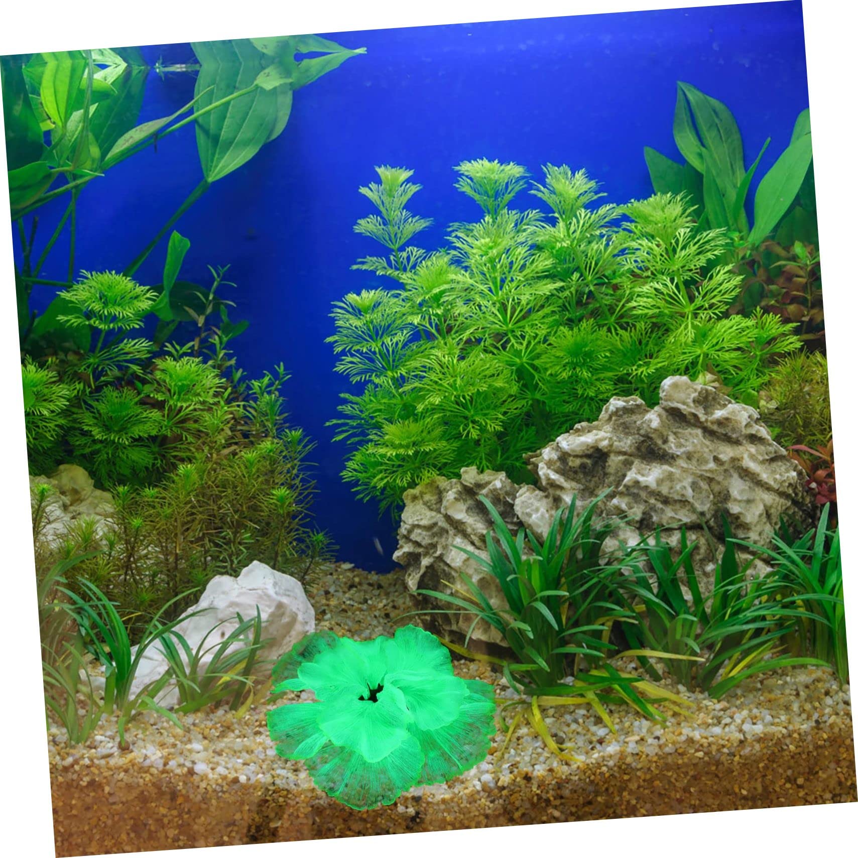 Yardwe 3stücke Künstliche Wasserpflanze Für Aquarium Dekoration Wasserpflanzen-Design Für Fischtanks Langlebige Und Pflegeleichte Aquarienlandschaft Grüne Aquarienpflanze