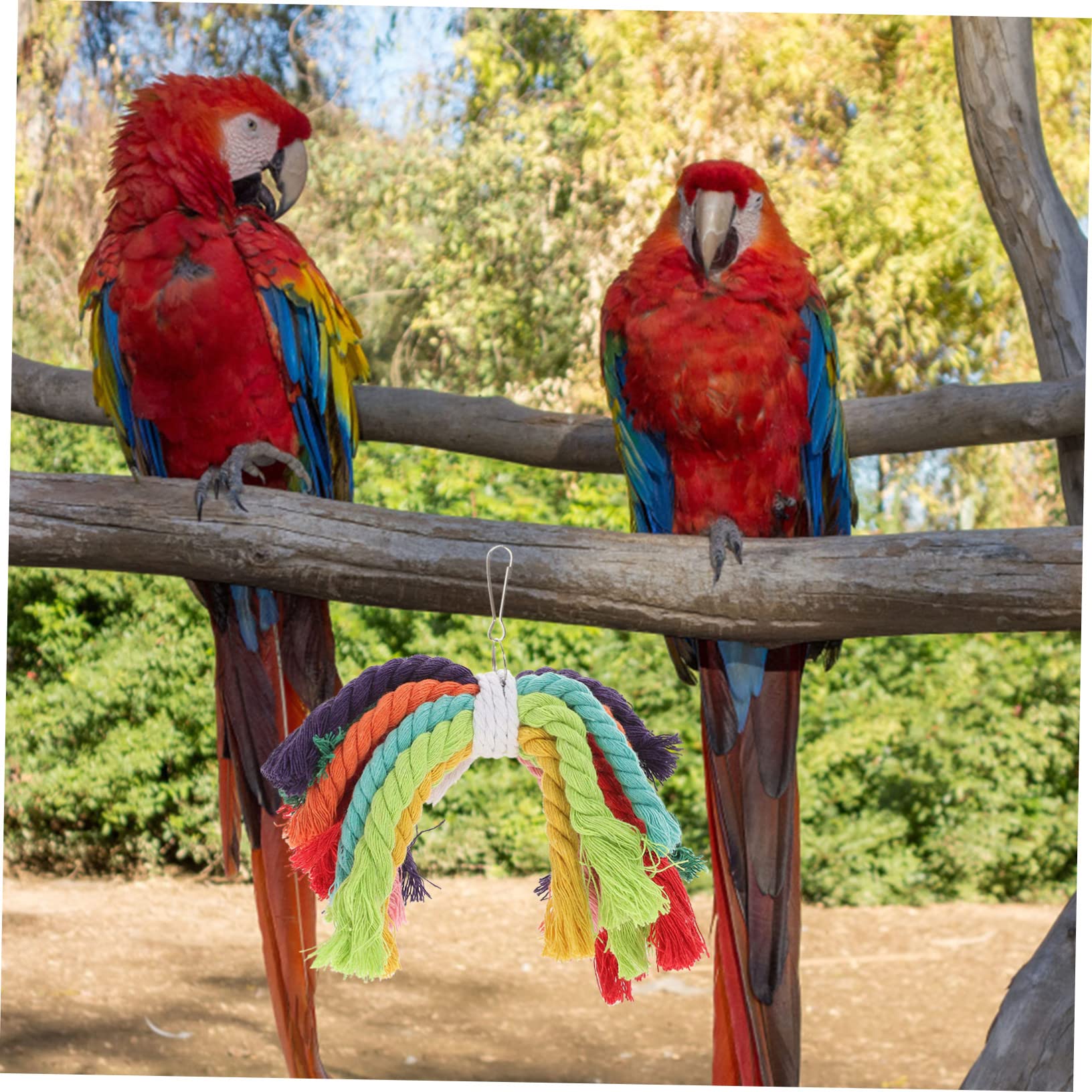 minkissy 5piezas Juguete De Masticar para Aves y Cuerda De Algodón Resistente para Periquitos Agapornis y Aves Juguete Colgante para Aburrimiento