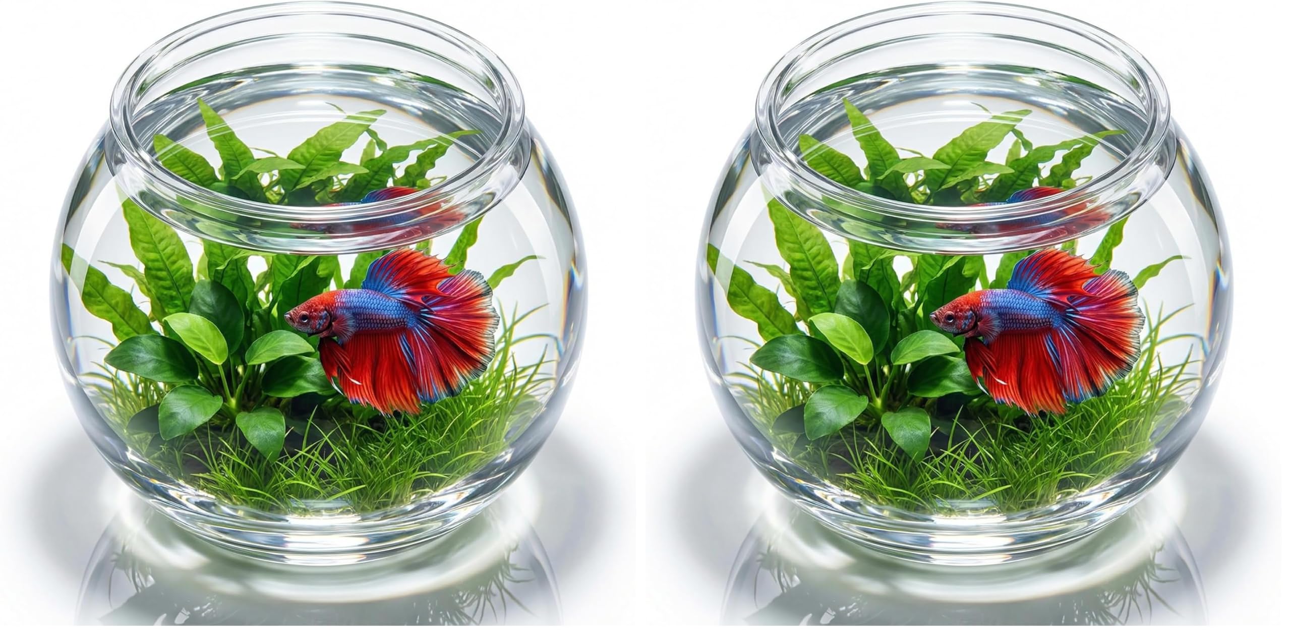 POPETPOP Plastic Aquarium Betta Fish Tank 1 Gallon Clear Goldfish Bowl Unbreakable Round Fish Vases Bowl for Home décor Wedding Event Party Goldfish Lovers (Pack of 2)