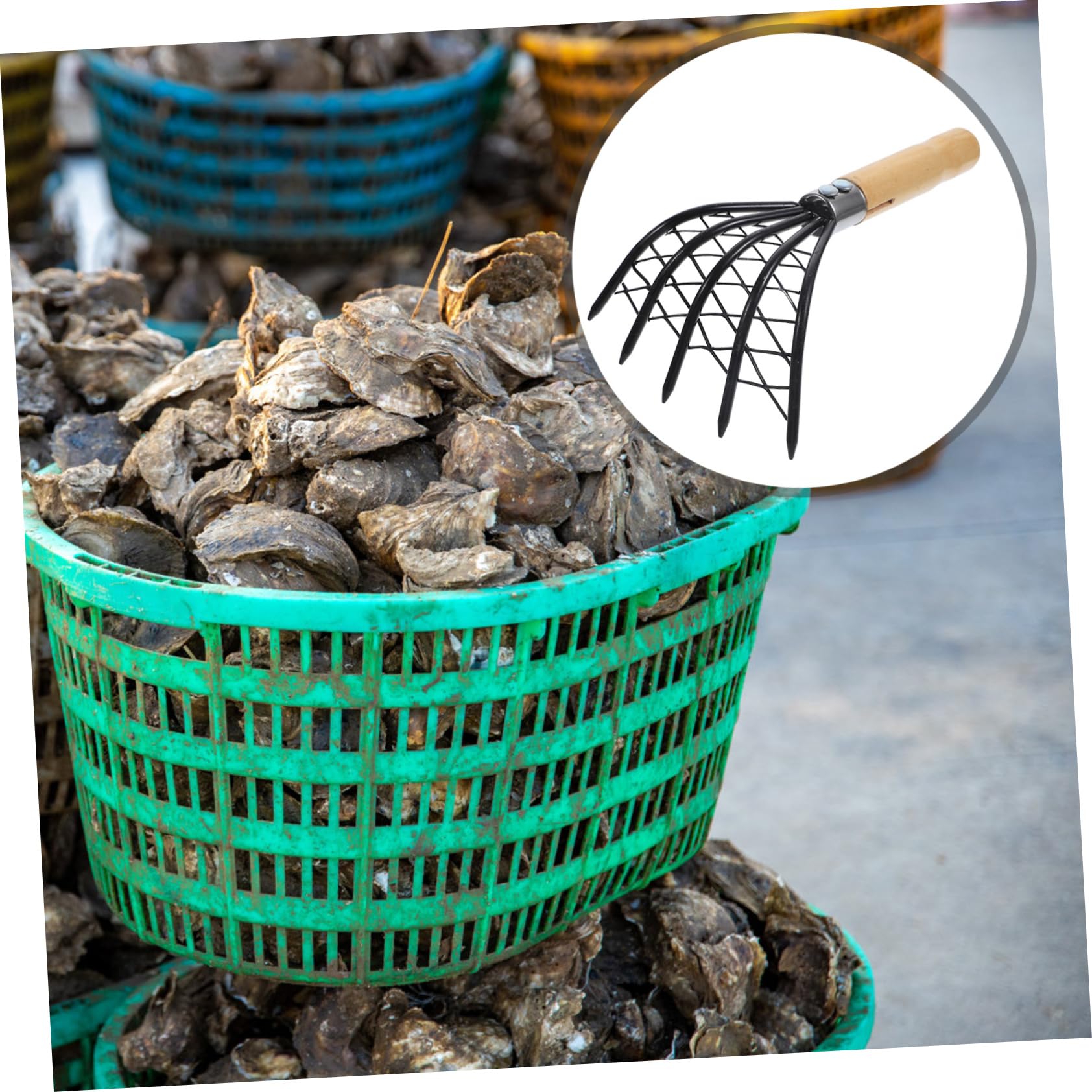Housoutil 2 Pièces 5 Râteau De Mer Outil De Creuser des Fruits De Mer Râteau à Coquillages Cultiver Le Râteau Creuser La Plage Cultivateur Râteau De Sol Palourde Coquille Polyvalent en Bois