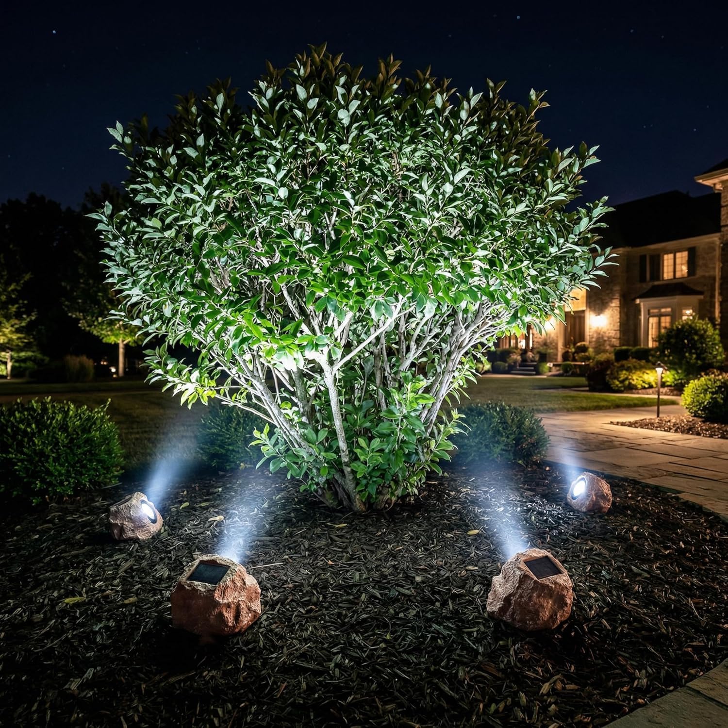 Candieslife Luci solari da giardino per esterni decorative (2 confezioni)