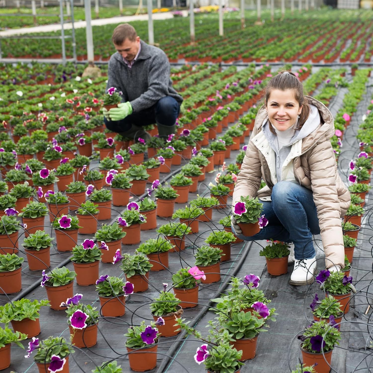 600 Pcs 6 Inch Plant Nursery Pots Bulk Plastic Pots Plants Seed Starting Pots Garden Pots with Drainage Holes for Plants Succulents Seedlings Cuttings Transplanting (600, 6 Inch)