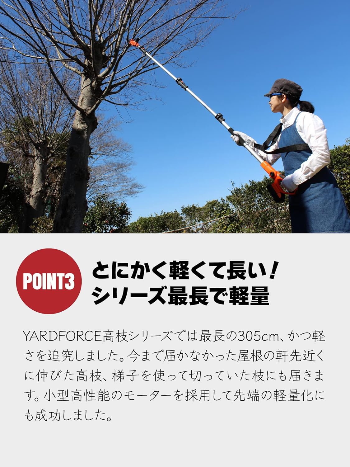 A person using the extended pruner to trim high branches from a tree