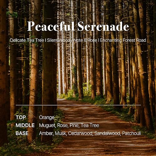 Miniatura 3 de Kit de incienso de papel para fragancia de habitación, 48 piezas, caja de metal vintage, papel de incienso con buen olor para relajación y