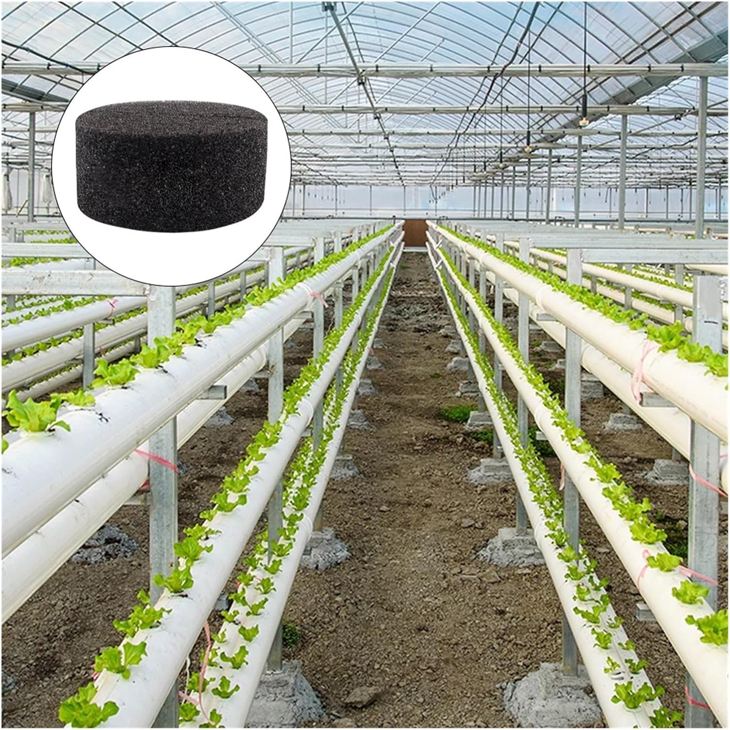 50pcs Gardening Tool Hydroponic Sponge Vegetable Cultivation Insert Nursery Pot Soilless Planting Root Fixed Rooting (Color : Black, Size : 45mm)