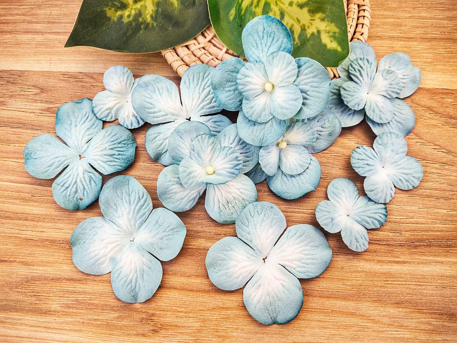 Handgefertigte Hortensien-Blüten Aus Maulbeerpapier – 50 Stück In Blau/weiß, Für Scrapbooking, Hochzeitsdeko & DIY