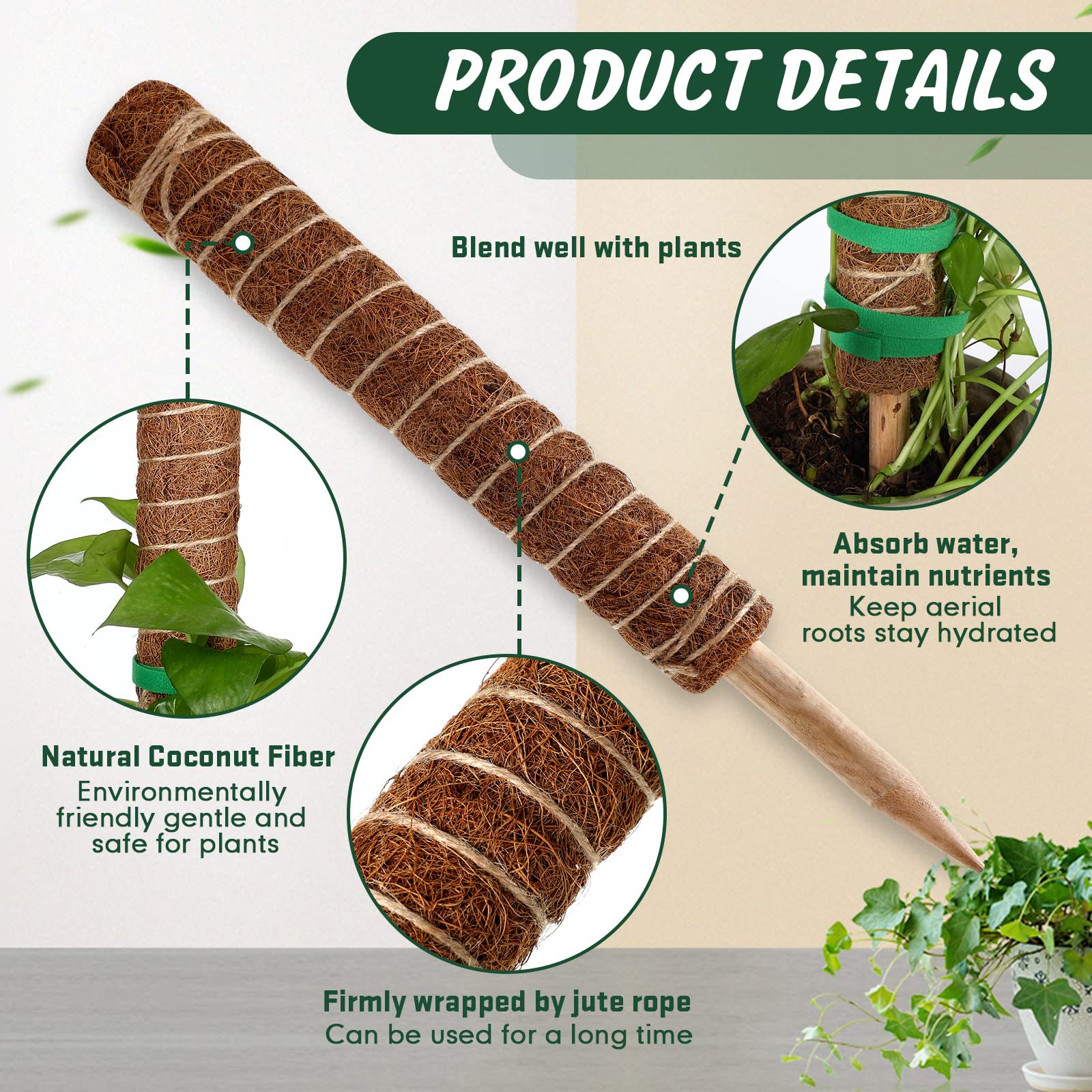 30 Stück Moosstangen für Pflanzen, Monstera, 41.5 cm, Monstera-Pflanzenunterstützung mit 10 Stück 16.5 m Juteseil und 18 m grünes Pflanzenband für Innen- und Außenbereich, Kletterpflanzen th