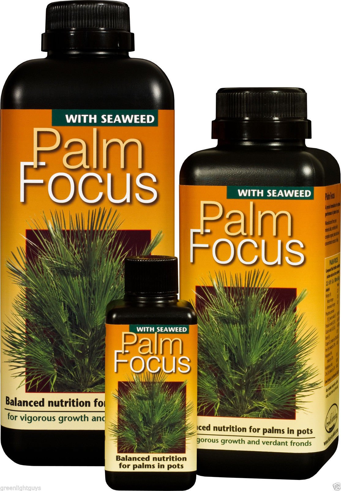 palm focus 100ml FREE PIPPET