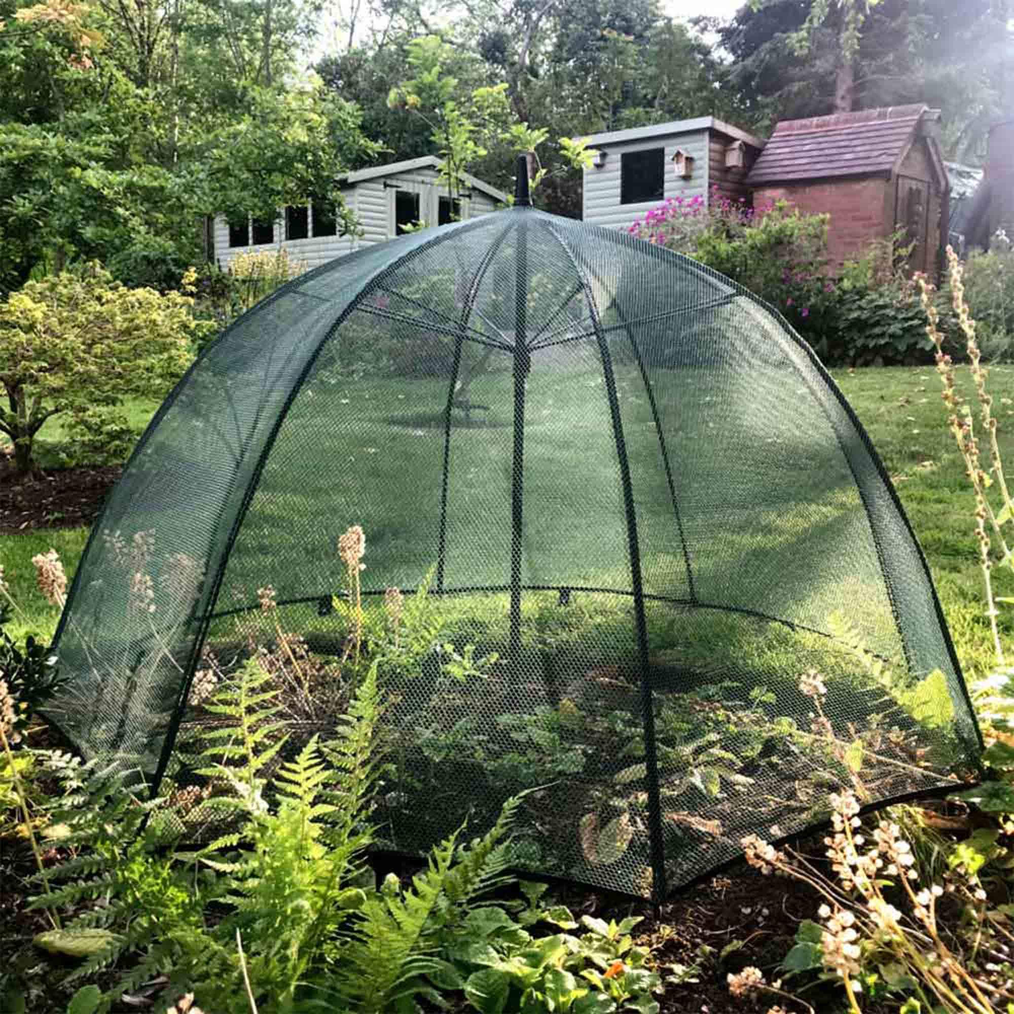 Suttons Brolly Cloche, Garden equipment, Growing equipment, Plant protection, Pest protection, Pest control, Bird netting, Garden netting, Insect netting