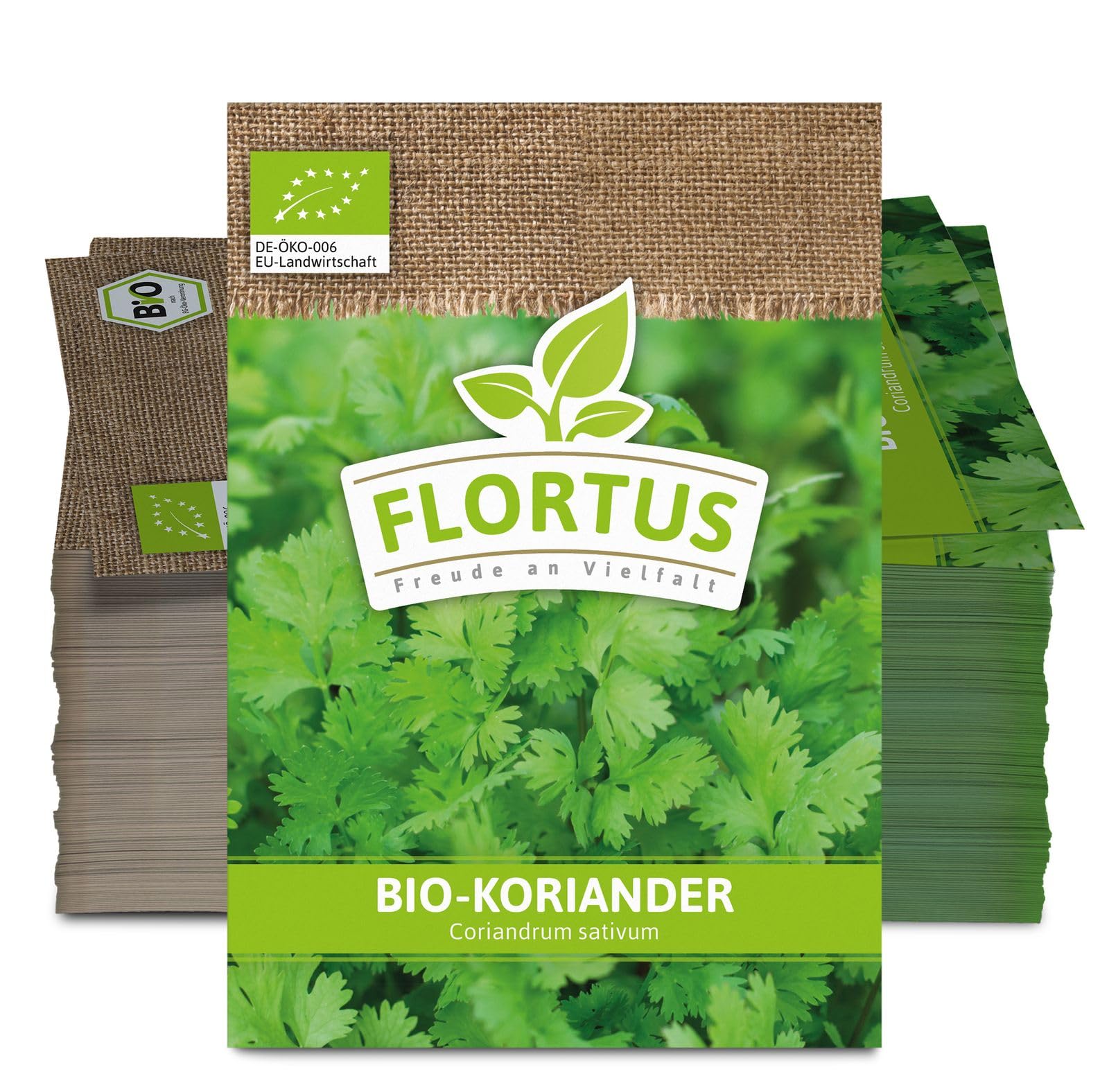 FLORTUS 2000-0196-100x Koriander (100 Tütchen) (BIO Koriandersamen)