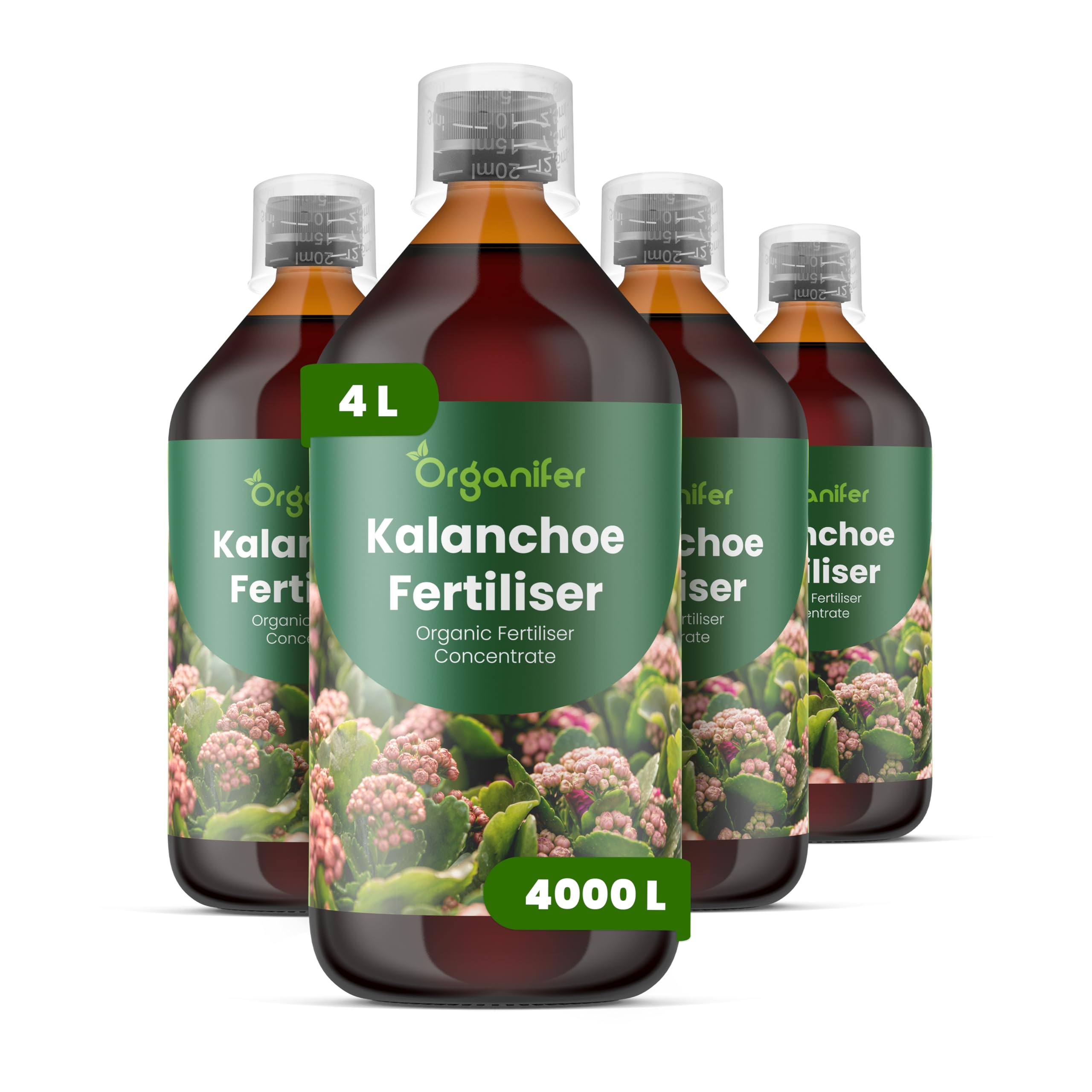 Nawóz Płynny Do Kalanchoe - 4x1L - NPK 2-1-8 | Nawóz Płynny Dla Dekoracyjnych Kwiatów W Donicach - Aranżacjach I Ogrodzie - Organifer