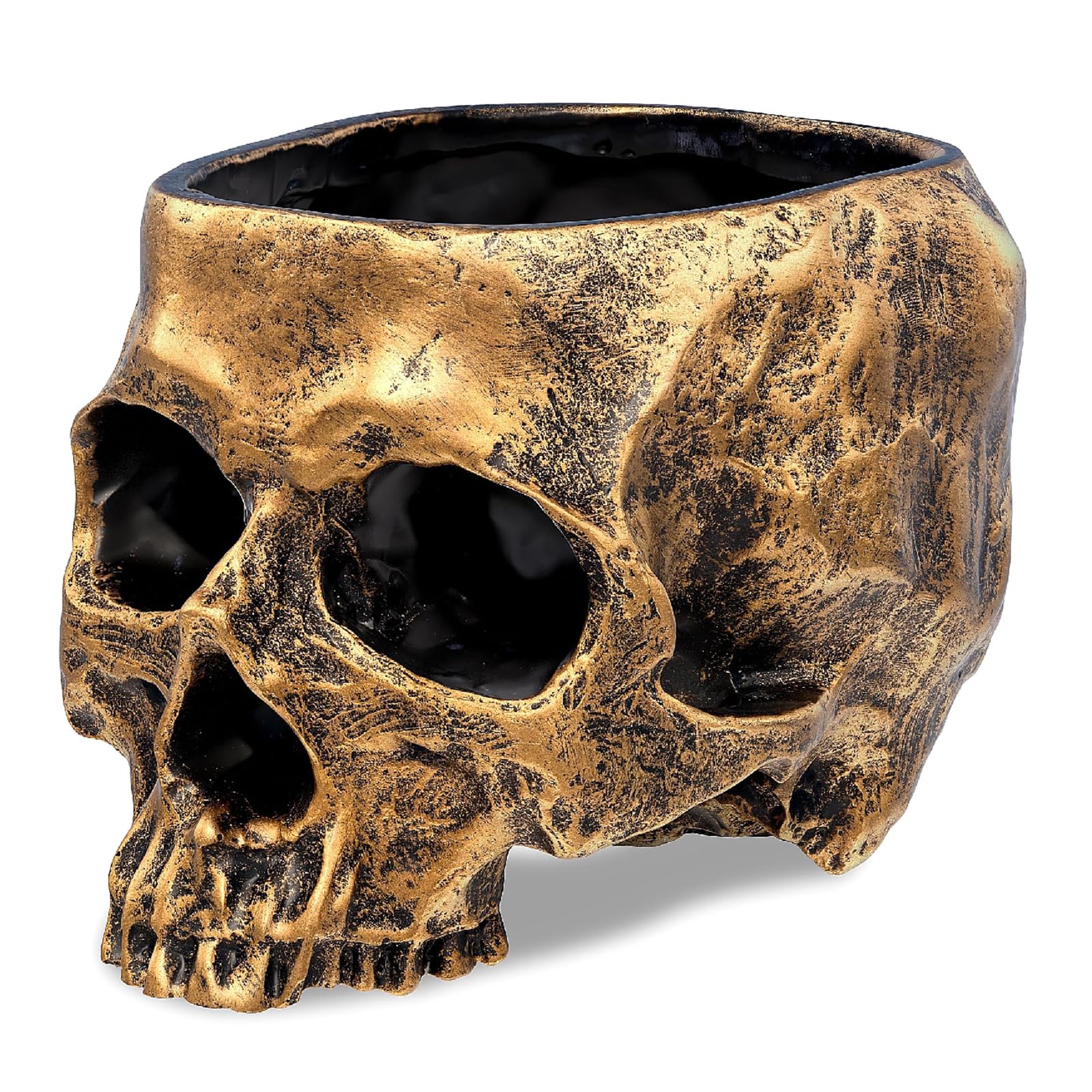 Distinctive Ancient Skull Shaped Planter Also Functions As a Trendy Keeper for Tiny Objects Resin Skull Vase