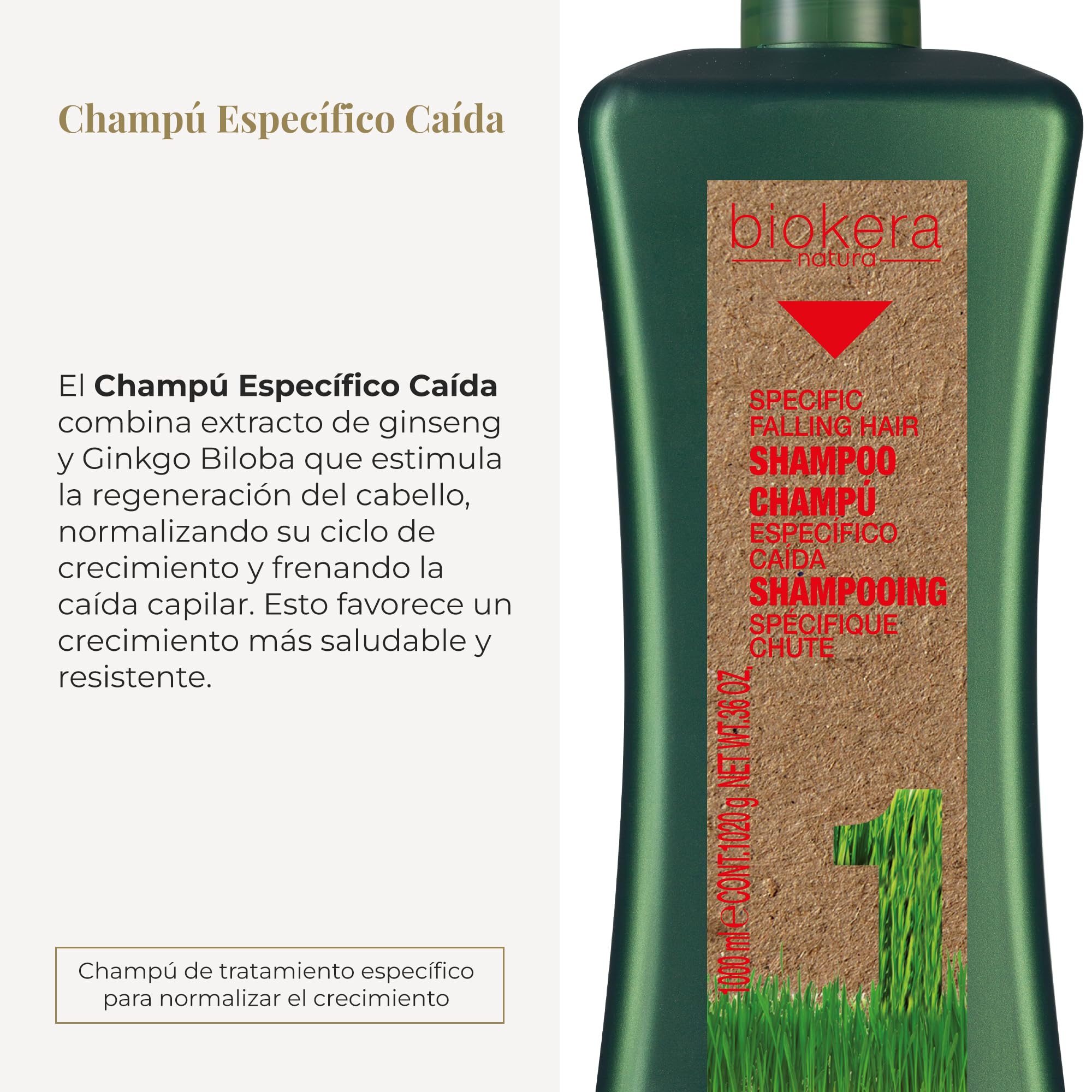 SALERM - Champú Anticaída - Biokera Natura Champú Específico Caída - 1000 ml - con Ginseng y Ginkgo Biloba - Normaliza el Ciclo de Crecimiento Capilar - Frena la Caída - Efecto Refrescante
