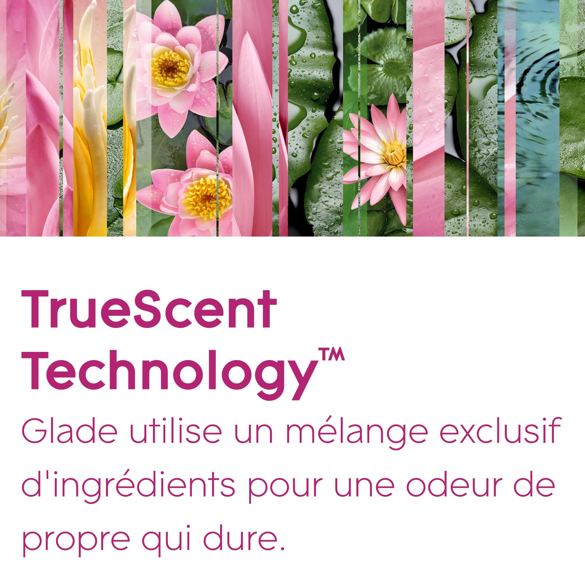 Glade Sense et Spray Recharge Diffuseur à Détection de Mouvement - Infusé Aux Huiles Essentielles - Jusqu'à 2 Mois de Parfum - Relaxing Zen - 1 Recharge