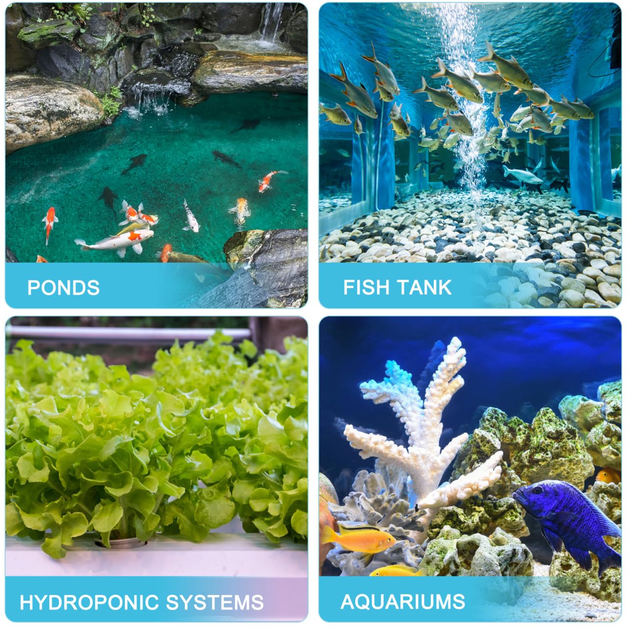 TEHAUX Ornements en résine pour aquarium, cachette pour aquarium, cachette pour aquarium et crevettes