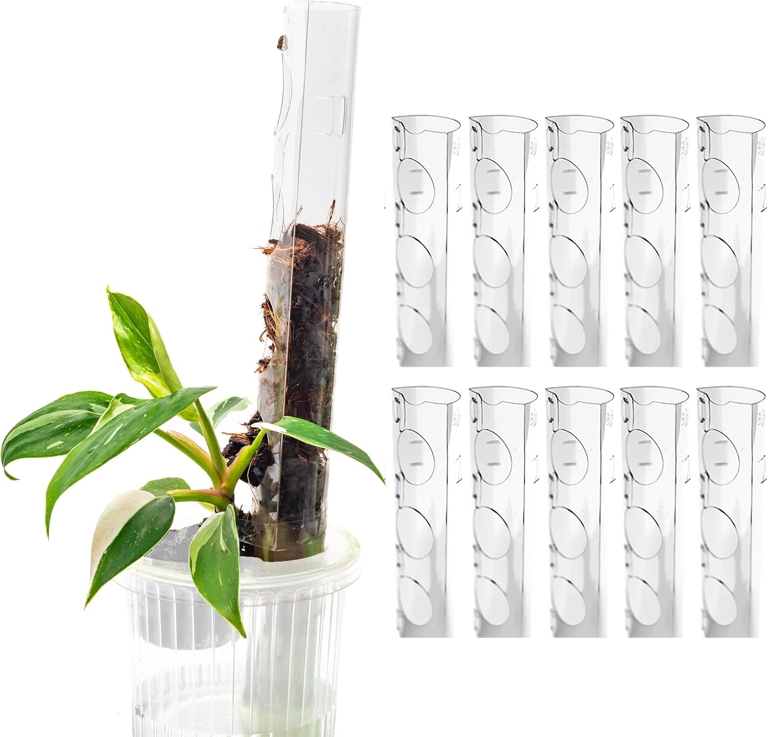 THICCLY V2 GrowPole Small 10 Pcs - Front Opening Clear Moss Poles for Climbing Plants, D-Shaped Moss Pole for Monstera Plant Support Plant Climbing Pole, Plastic Plant Pole Support for Philodendron