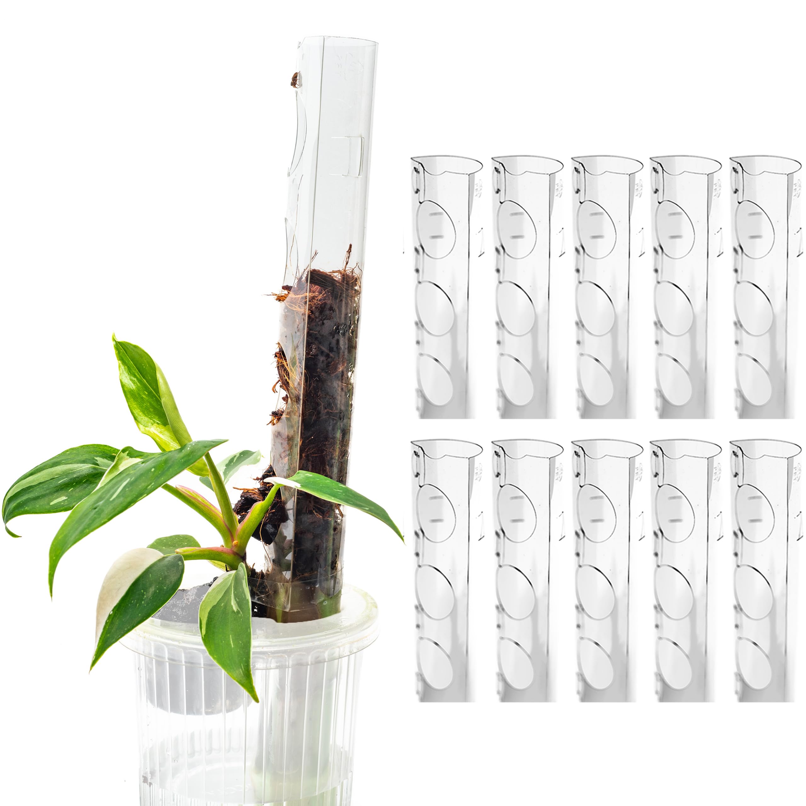 THICCLY V3 GrowPole Small 10-Pack