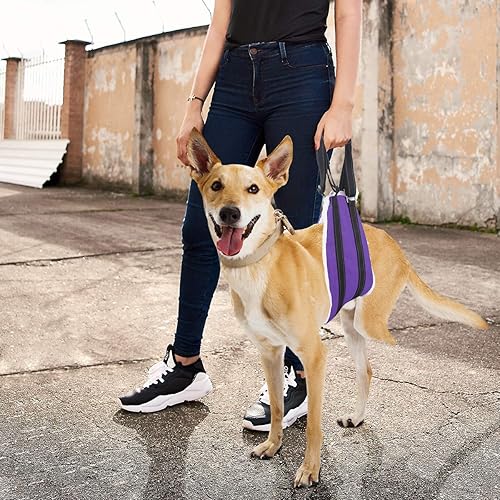 Miniatura 3 de voopet Eslinga para perro, ayuda a levantar las piernas, arnés portátil de soporte de cadera para ayudar a los perros para ayuda canina, arnés de