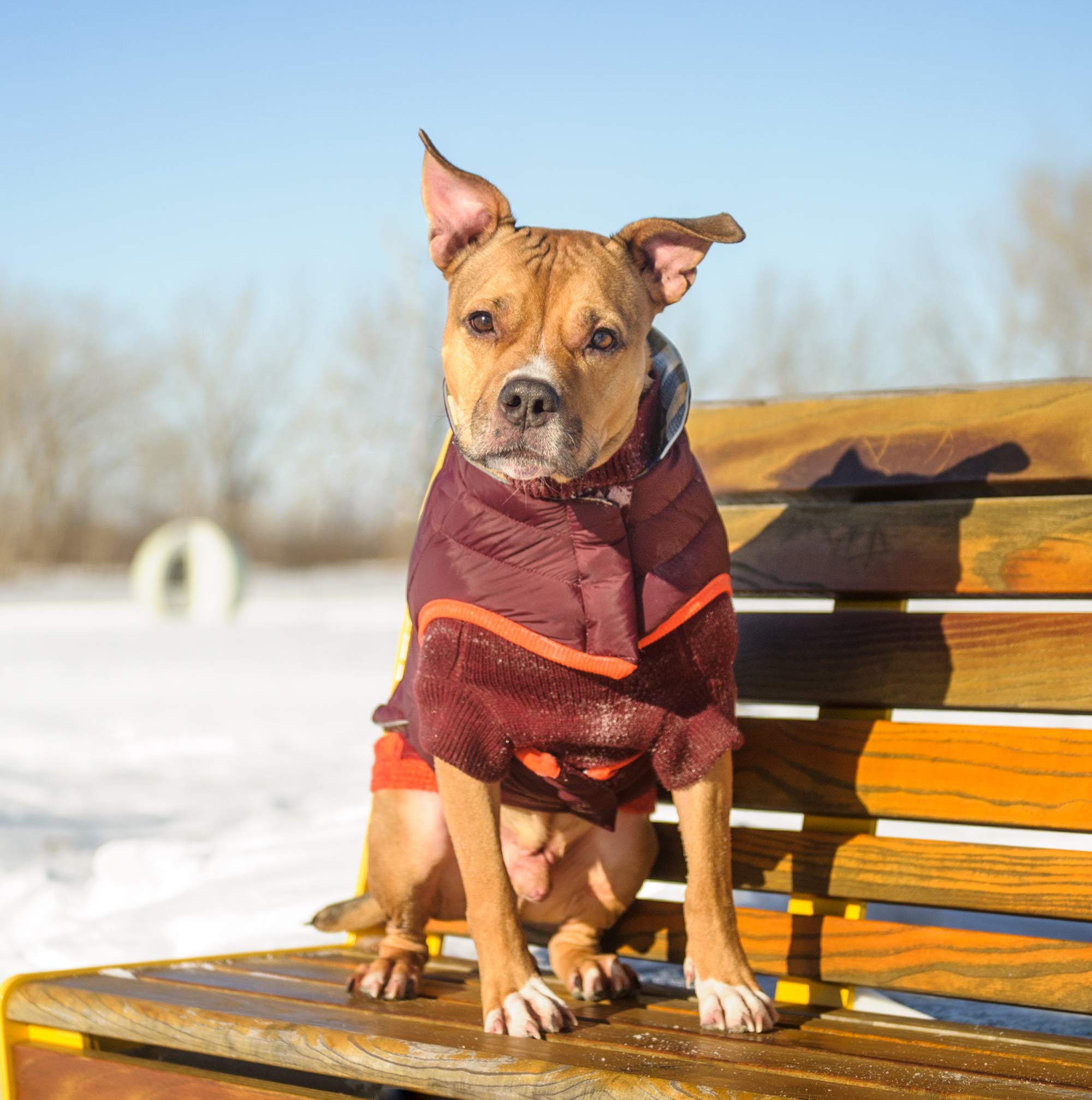 GF Pet RV Trail Jacke Für Hunde – Wendbare Wanderjacke Mit Elasto-Fit, Wasserabweisend & Reflektierend, Größe XS