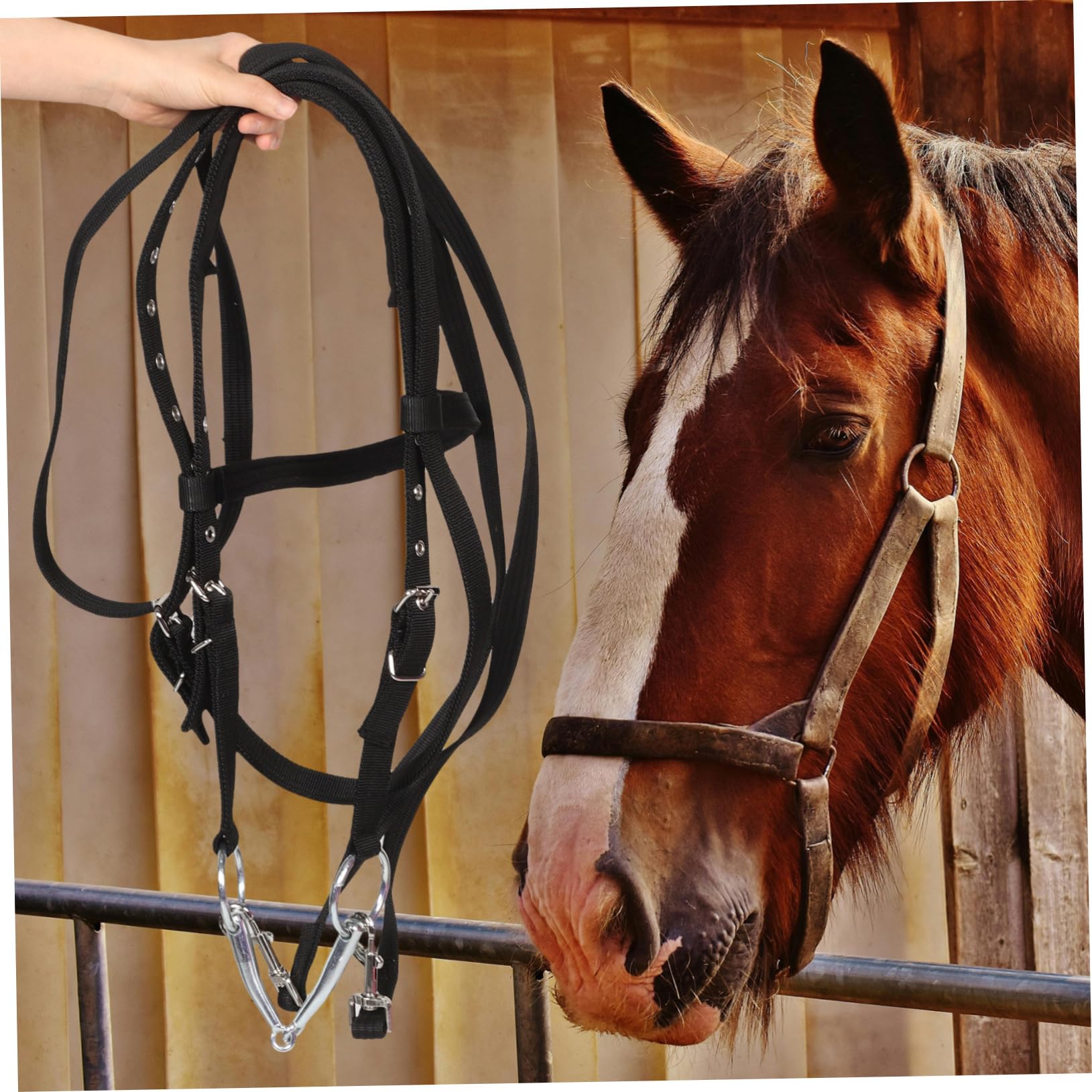 TOYANDONA Redini equestri capezza per Cavallo in Corda capezze in Corda per briglie Inglesi per Cavallo alla capezza Cavezza in Corda per bovini Nylon Black