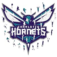 Iconic Puzzles - Charlotte Hornets, Logo