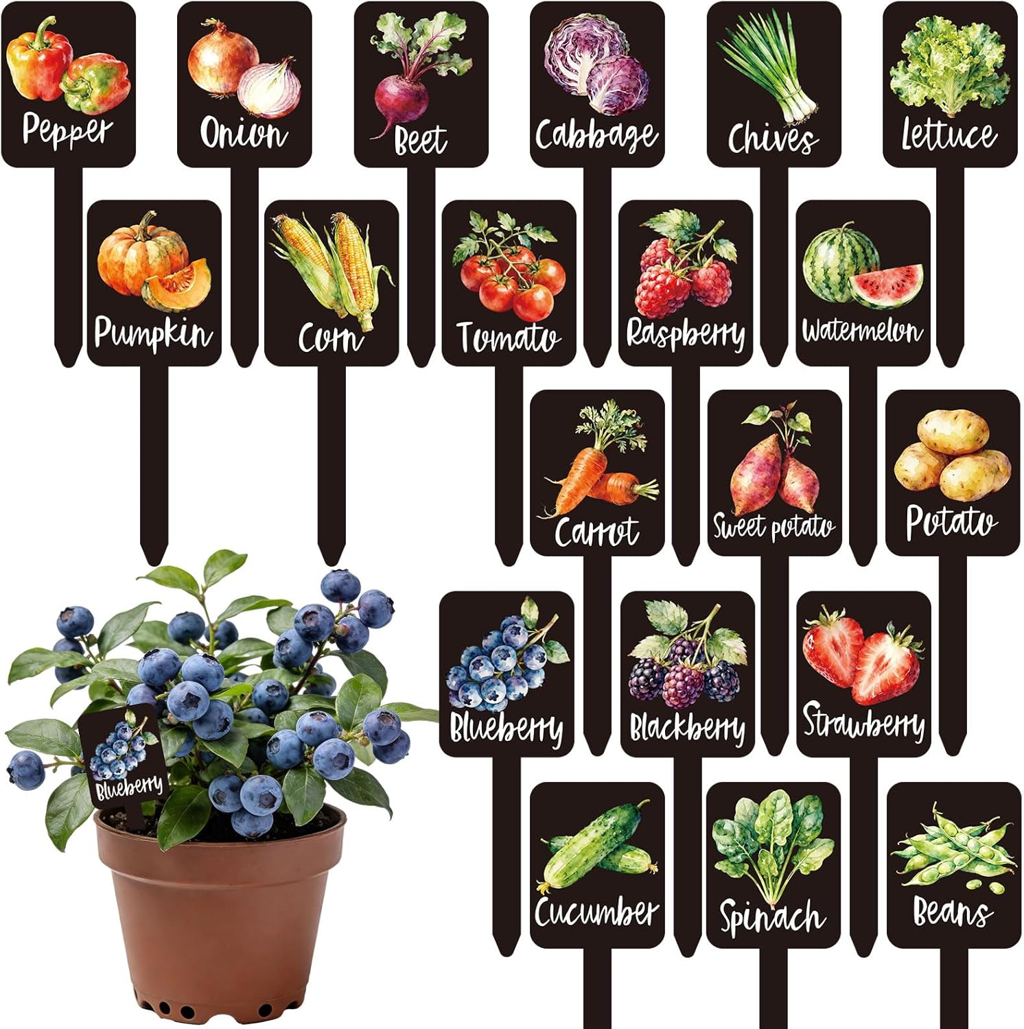 Whaline 20 Pack Watercolor Vegetable Garden Markers - Waterproof Acrylic Plant Labels with Names for Indoor Outdoor Gardens