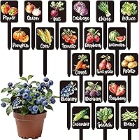 Whaline 20 Pack Watercolor Vegetable Garden Markers - Waterproof Acrylic Plant Labels with Names for Indoor Outdoor Gardens