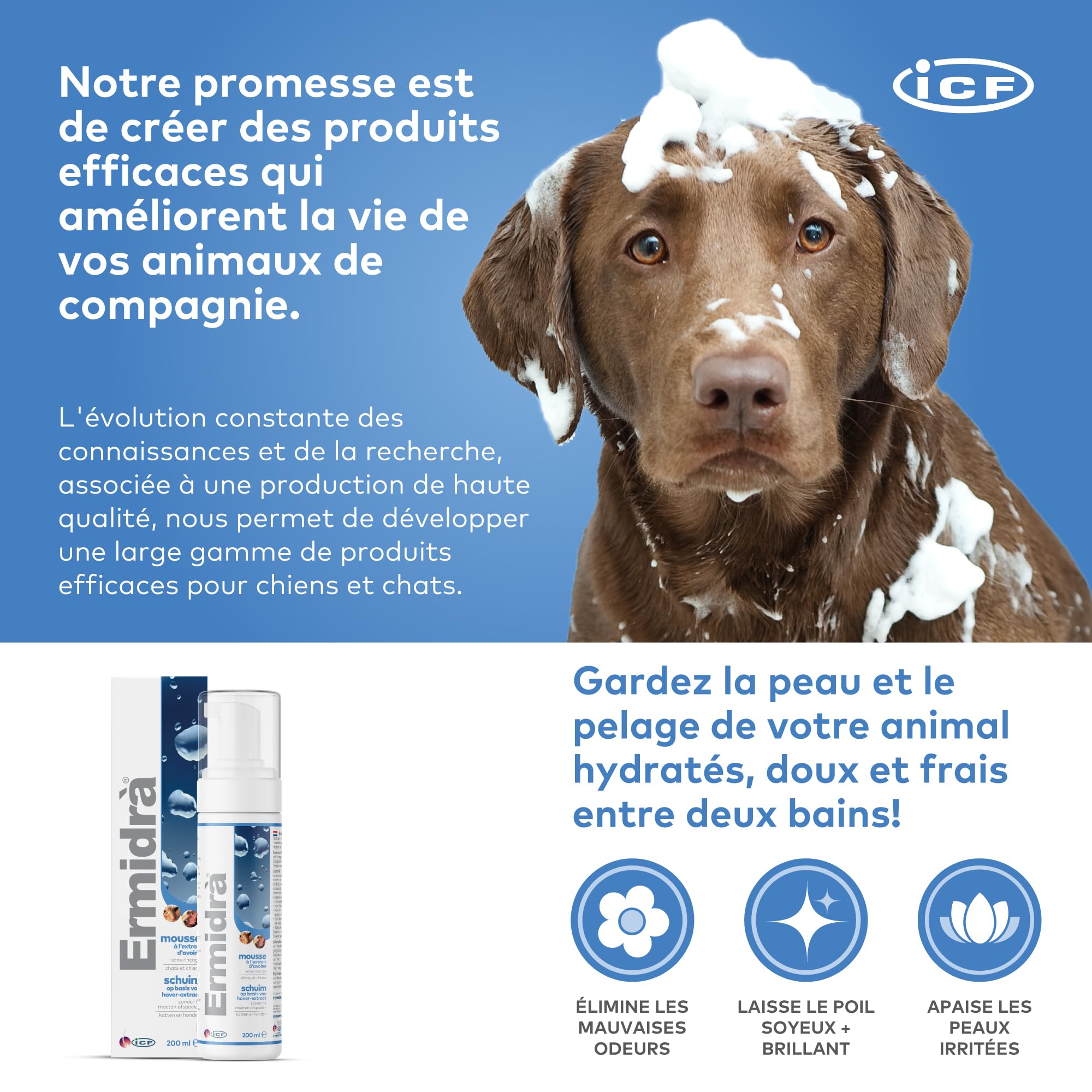 ICF Ermidrà Foam pour Chien et Chat | Soin Réhydratant sans Rinçage | 200 ML | Foam Apaisante Hydratante