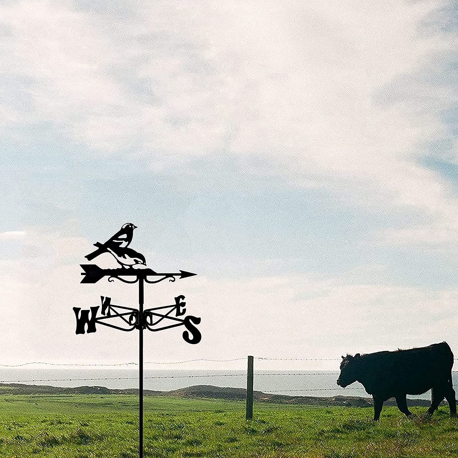 Veleta Del Techo - Veleta Del Parque Eólico, Veleta De la Dirección Del Viento Al Aire Libre, Fácil De Instalar Herramientas De Medición Profesionales/Gorrión