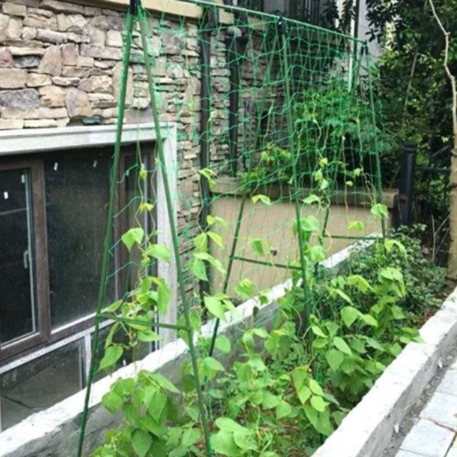 rockible Traliccio da Giardino Versatile Traliccio da Esterno Componibile Supporto Rampicante per Giardinieri, Specifica 2