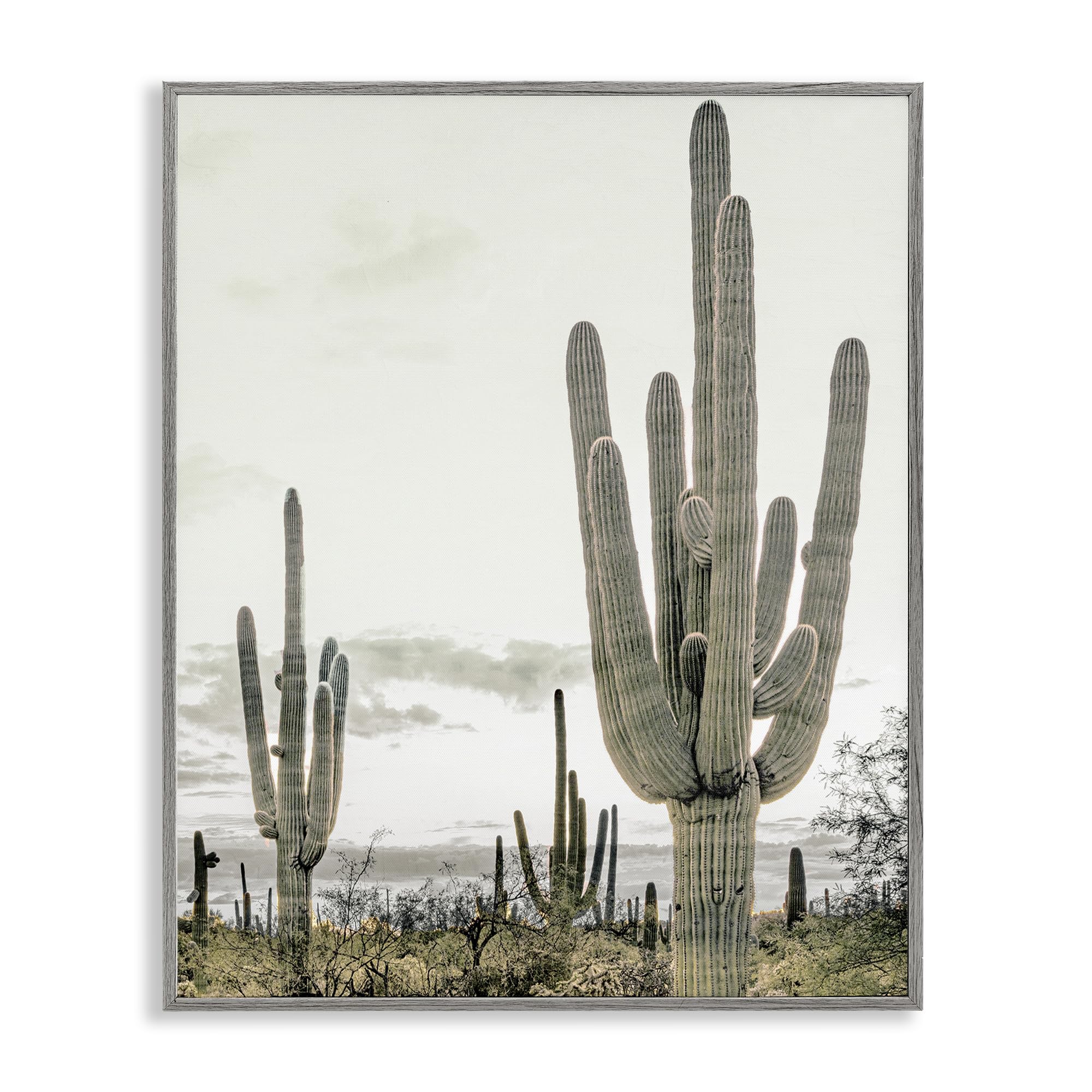 Stupell Industries Farmhouse Gray (Textured) Desert Cacti Landscape Serene Southwest, 24 X 30 Inch Framed Giclée Print