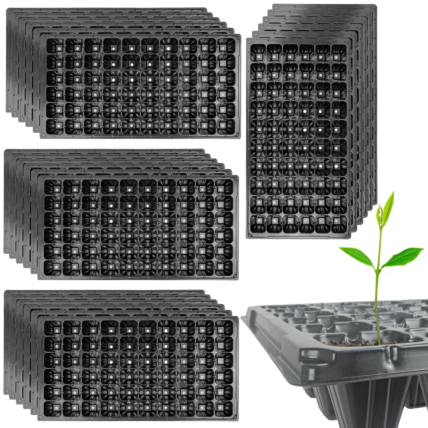 Woodside 60 Cell Root Trainer Seed Trays 24 Pack | Reusable Propagation Trays for Seedlings & Cuttings | Deep Cell Plant Starter Trays with Drainage Holes | Garden Growing Equipment
