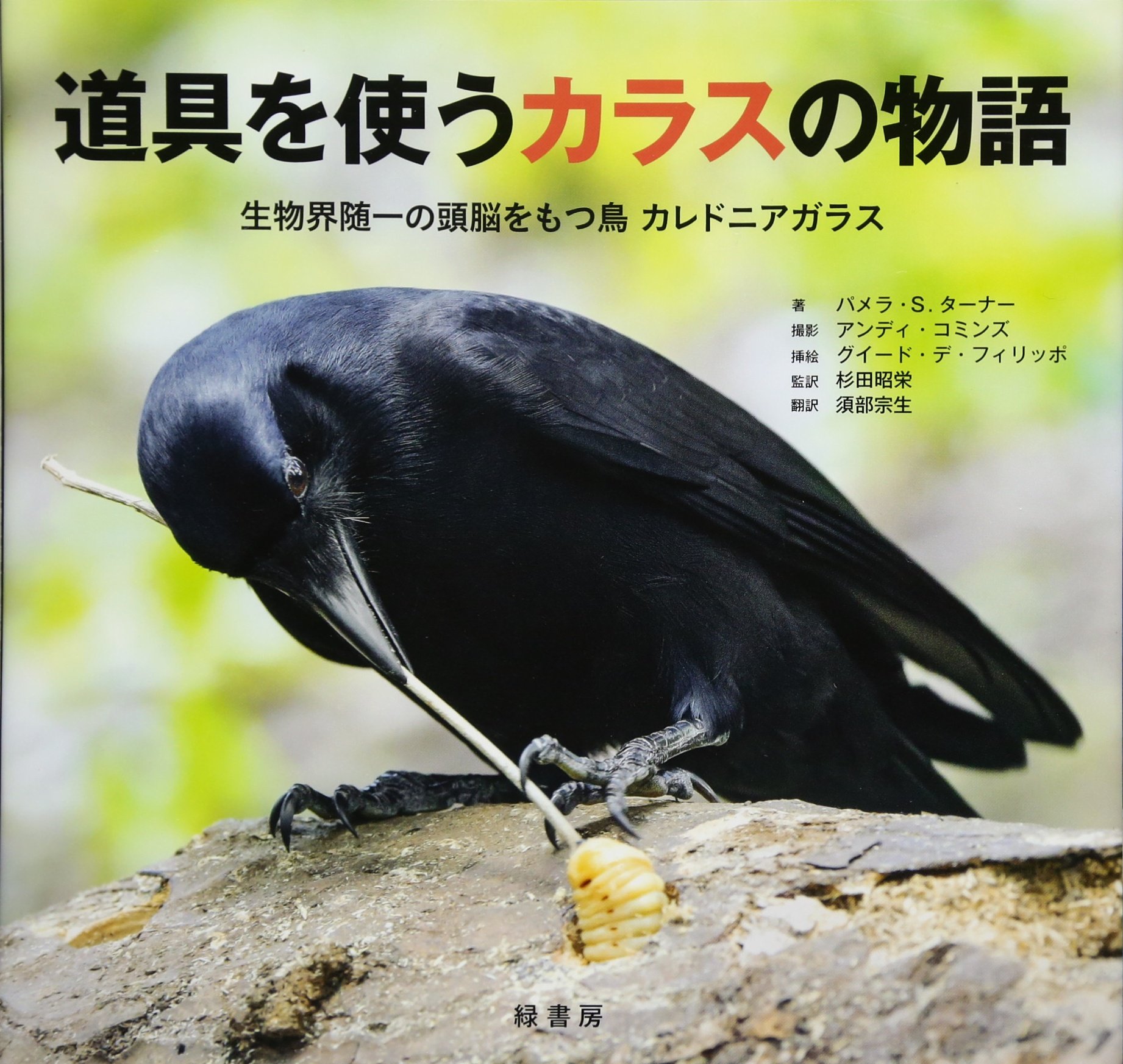 道具を使うカラスの物語 生物界随一の頭脳をもつ鳥 カレドニアガラス パメラ S ターナー 杉田昭栄 須部宗生 本 通販 Amazon