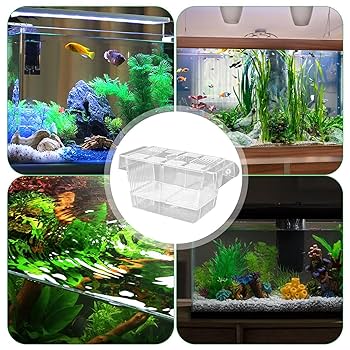 Amazon | 魚の飼育ボックス、調節可能な魚の孵化場ボックス