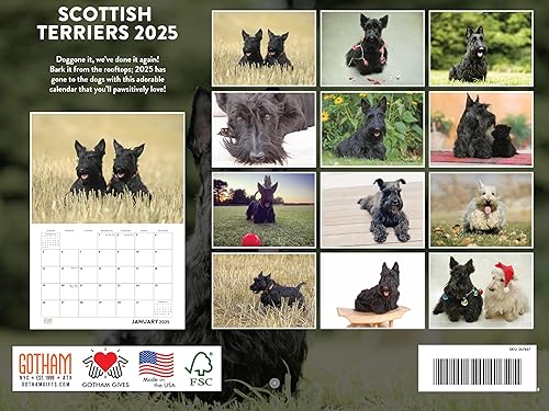 Vista 396 de Calendario Goldendoodle 2026 Golden Doodle mensual de pared calendario de 12 meses Fabricado en Estados Unidos